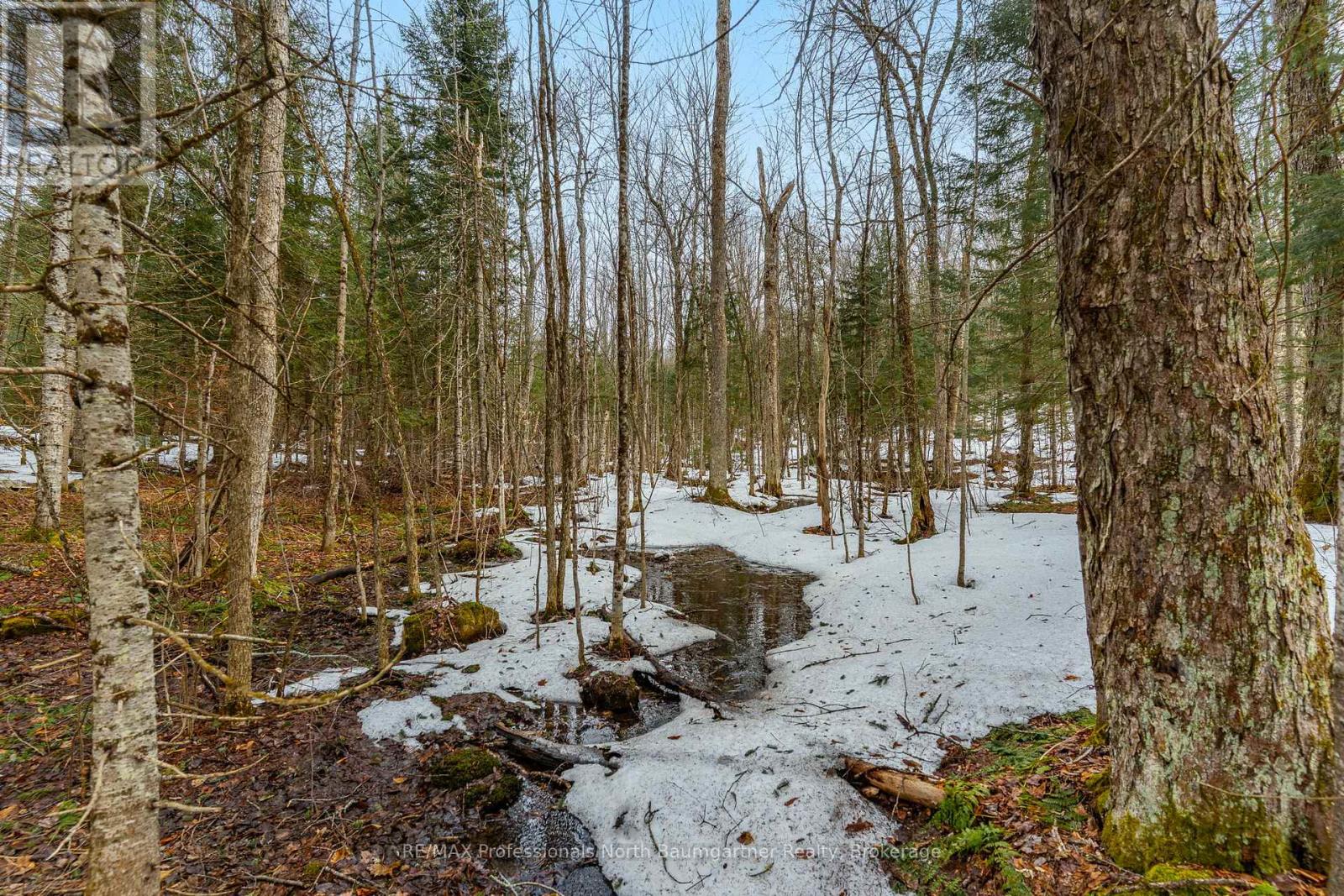 2988 Loop Road, Highlands East, Ontario  K0L 3C0 - Photo 45 - X12093164