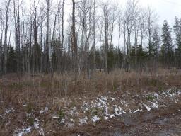 Property: 149 EVERGREEN Avenue, Gimli RM, Manitoba