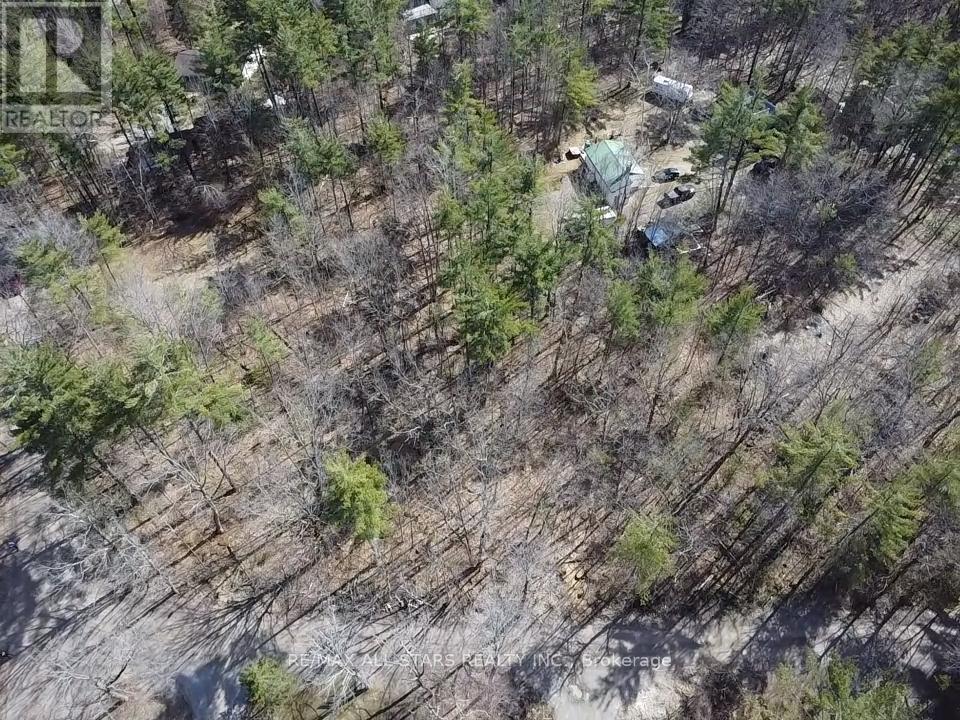 0 Maple Grove Road, Trent Hills, Ontario  K0K 2M0 - Photo 3 - X12093210