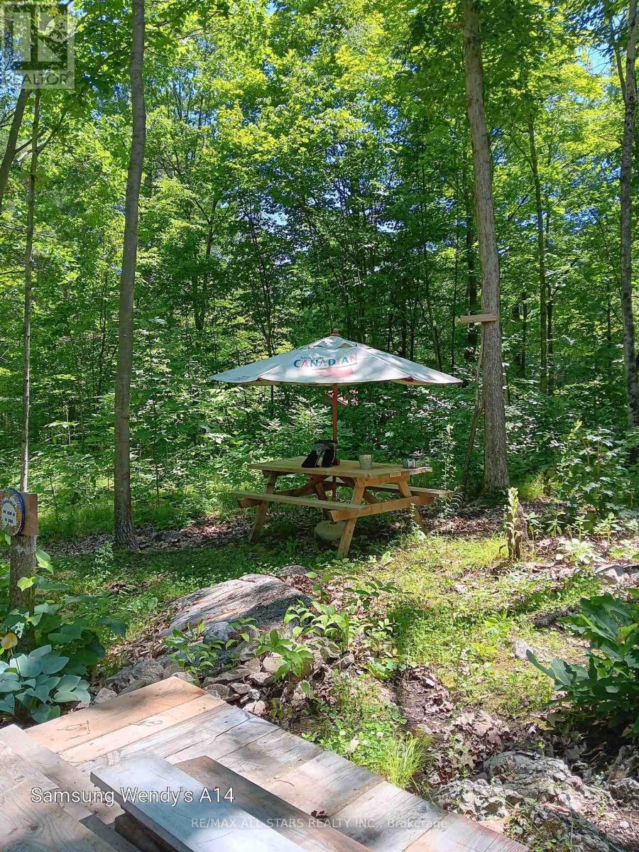 0 Maple Grove Lot B Road, Trent Hills, Ontario  K0K 2M0 - Photo 4 - X12093224