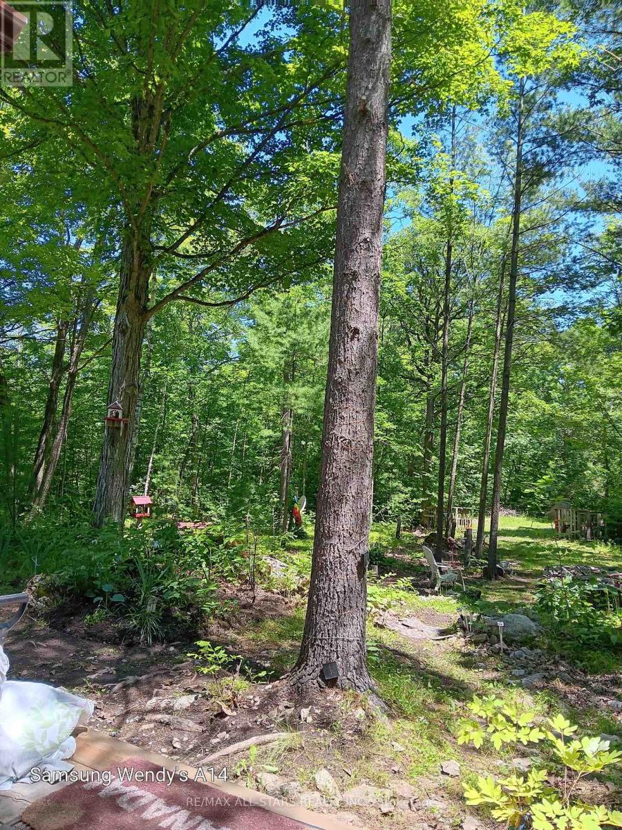 0 Maple Grove Lot B Road, Trent Hills, Ontario  K0K 2M0 - Photo 5 - X12093224