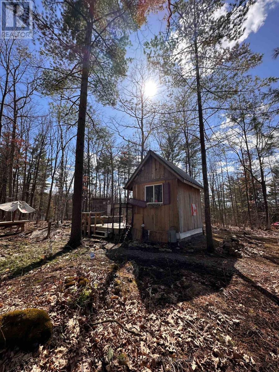 0 Maple Grove Lot B Road, Trent Hills, Ontario  K0K 2M0 - Photo 6 - X12093224