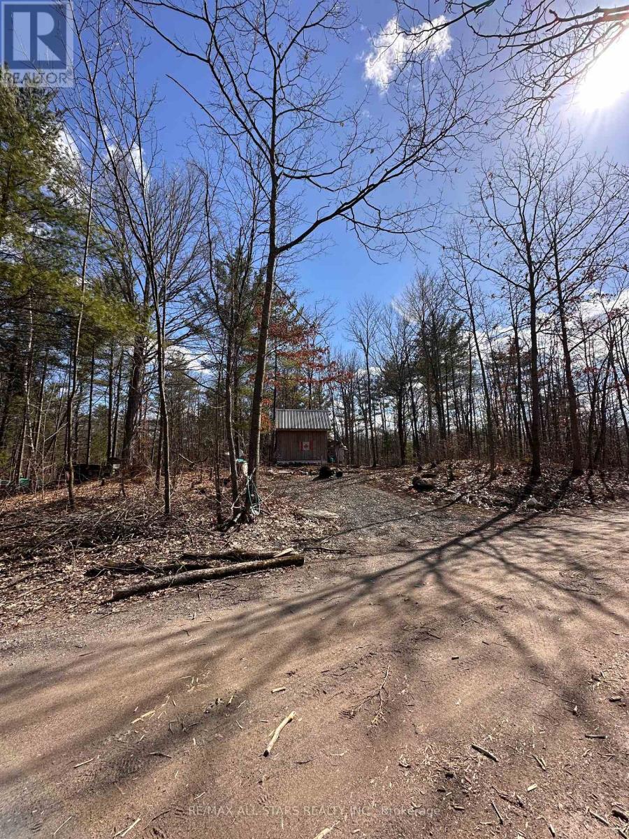 0 Maple Grove Lot B Road, Trent Hills, Ontario  K0K 2M0 - Photo 7 - X12093224