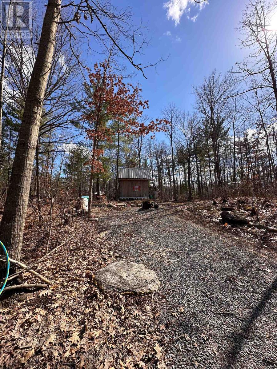 0 Maple Grove Lot B Road, Trent Hills, Ontario  K0K 2M0 - Photo 8 - X12093224