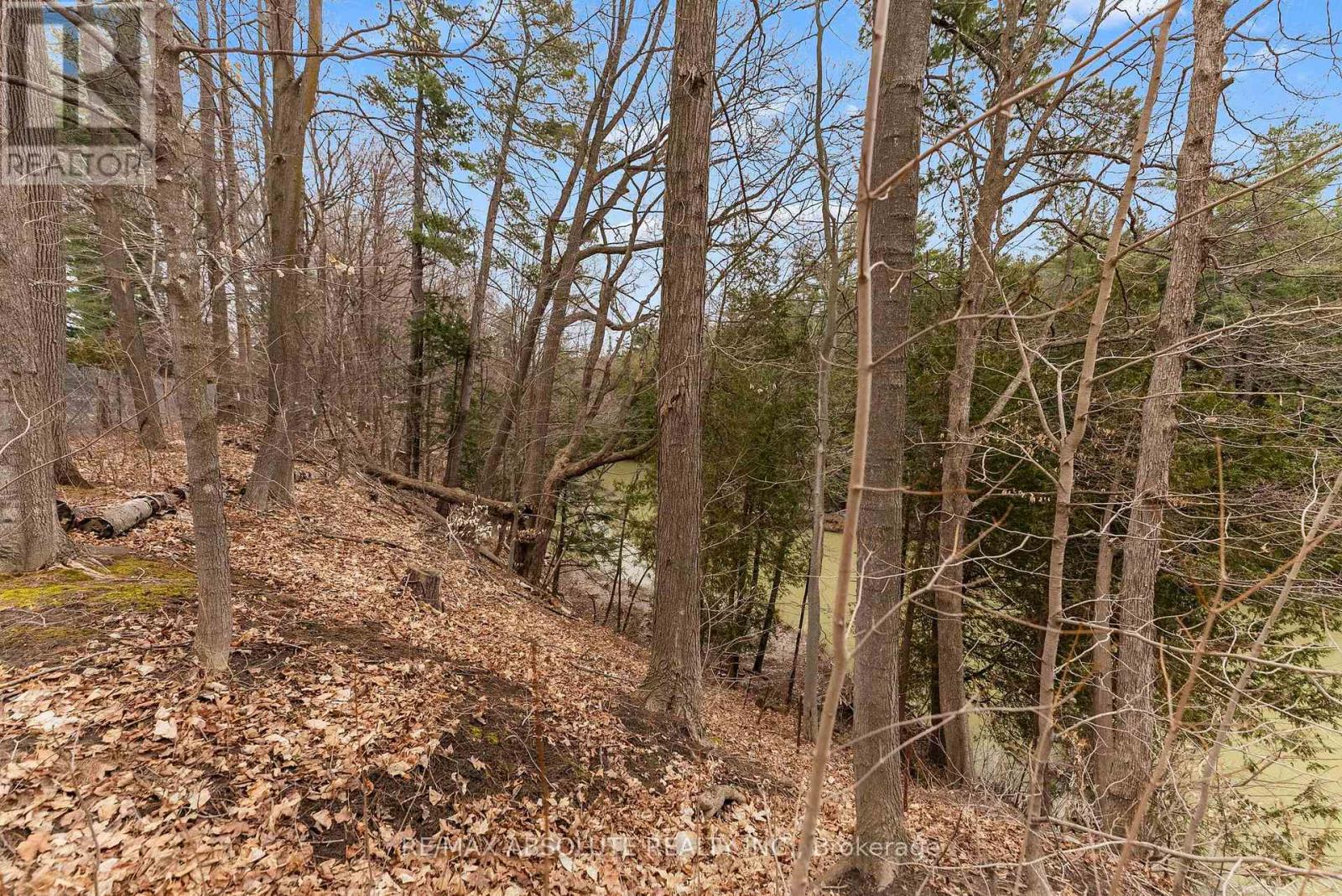 33 Old Orchard Lane, Mcnab/braeside, Ontario  K7S 3T3 - Photo 44 - X12093312