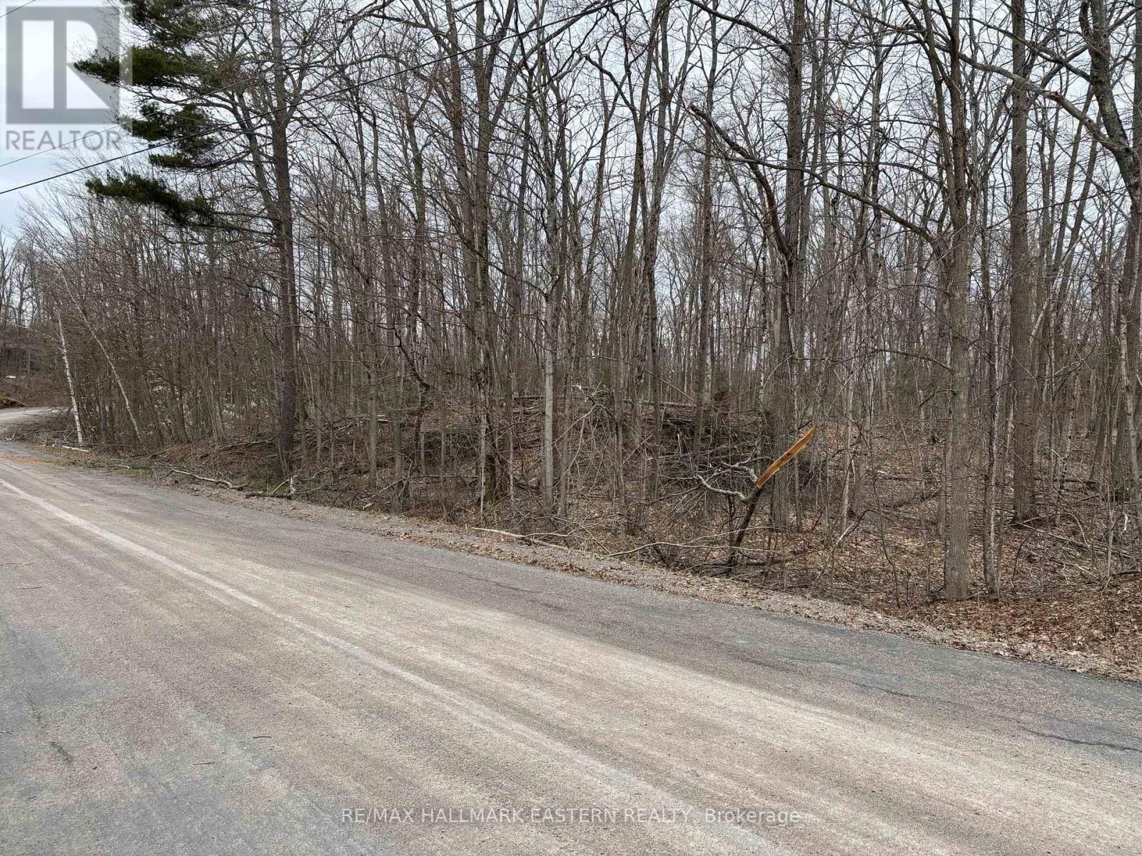 96 Woodland Court, Trent Lakes, Ontario  K0L 1J0 - Photo 2 - X12093572
