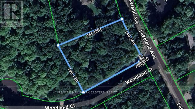 96 Woodland Court, Trent Lakes, Ontario  K0L 1J0 - Photo 4 - X12093572