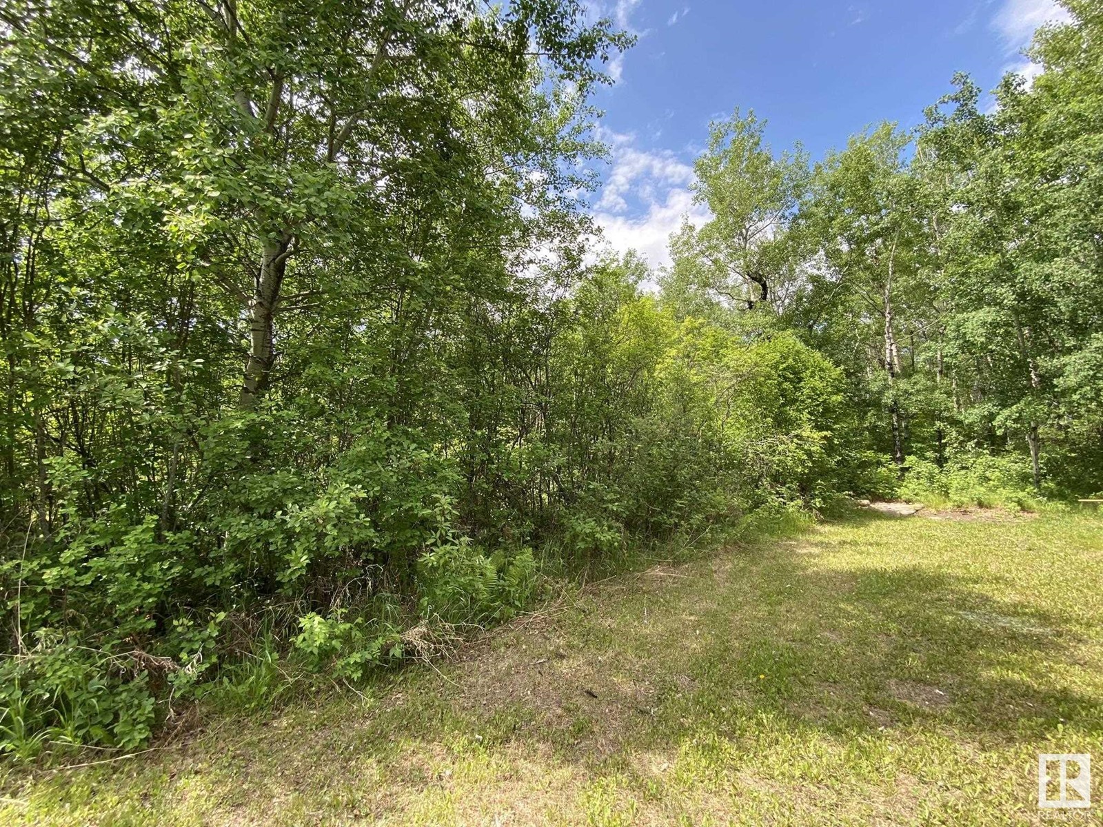 19042 Victoria Tr, Rural Smoky Lake County, Alberta  T0A 3C0 - Photo 32 - E4431935