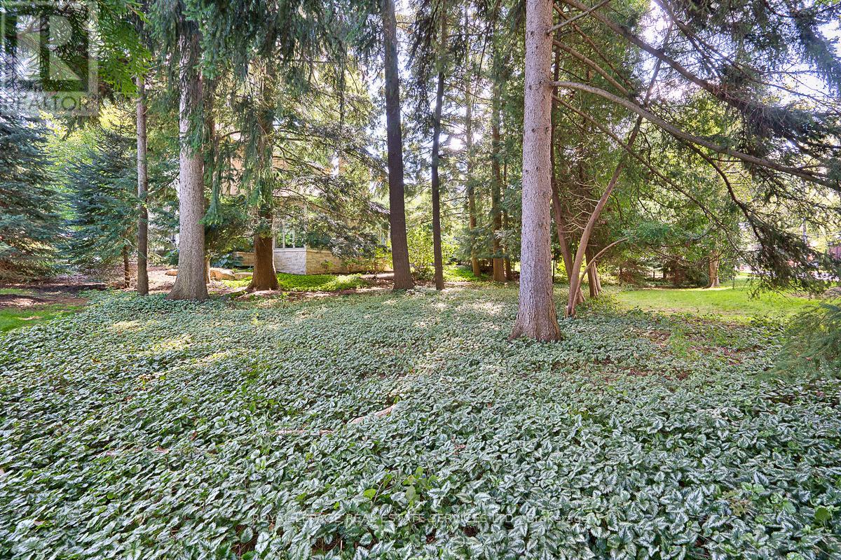 177 Lovers Lane, Hamilton, Ontario  L9G 1G9 - Photo 49 - X12093514