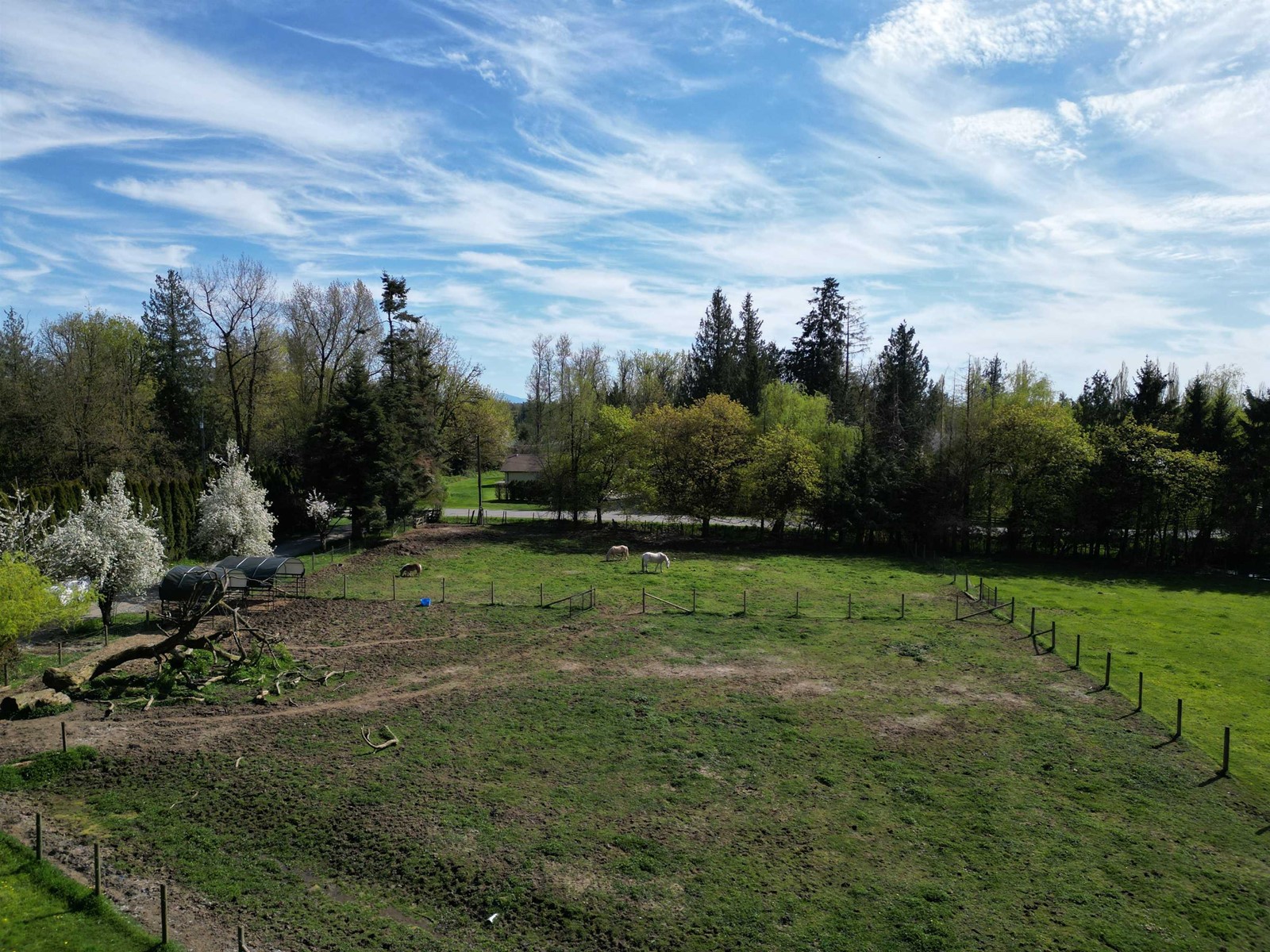 28927 Buchanan Avenue, Abbotsford, British Columbia  V4X 2C8 - Photo 25 - R2984804