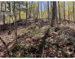 000 BLANCHARDS ROAD, Kawartha Lakes, Ontario