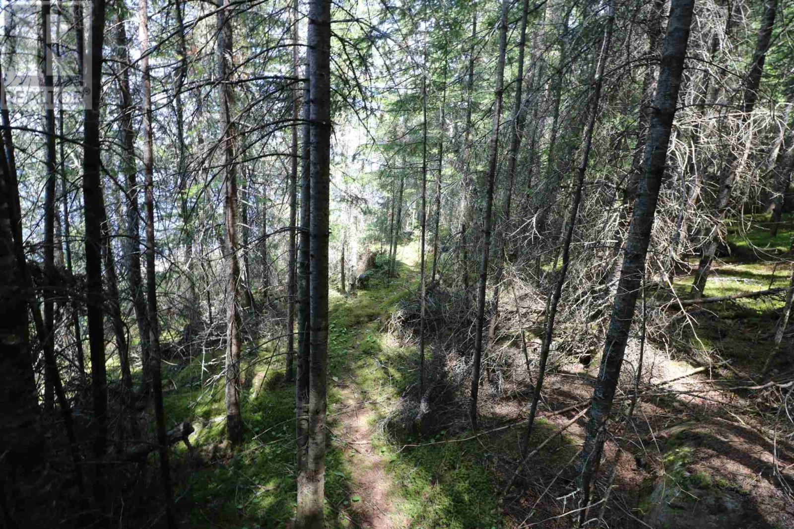 Part 1 & Part 2 23r-14679, Little Sand Lake, Minaki, Ontario  P0X 1J0 - Photo 19 - TB250558