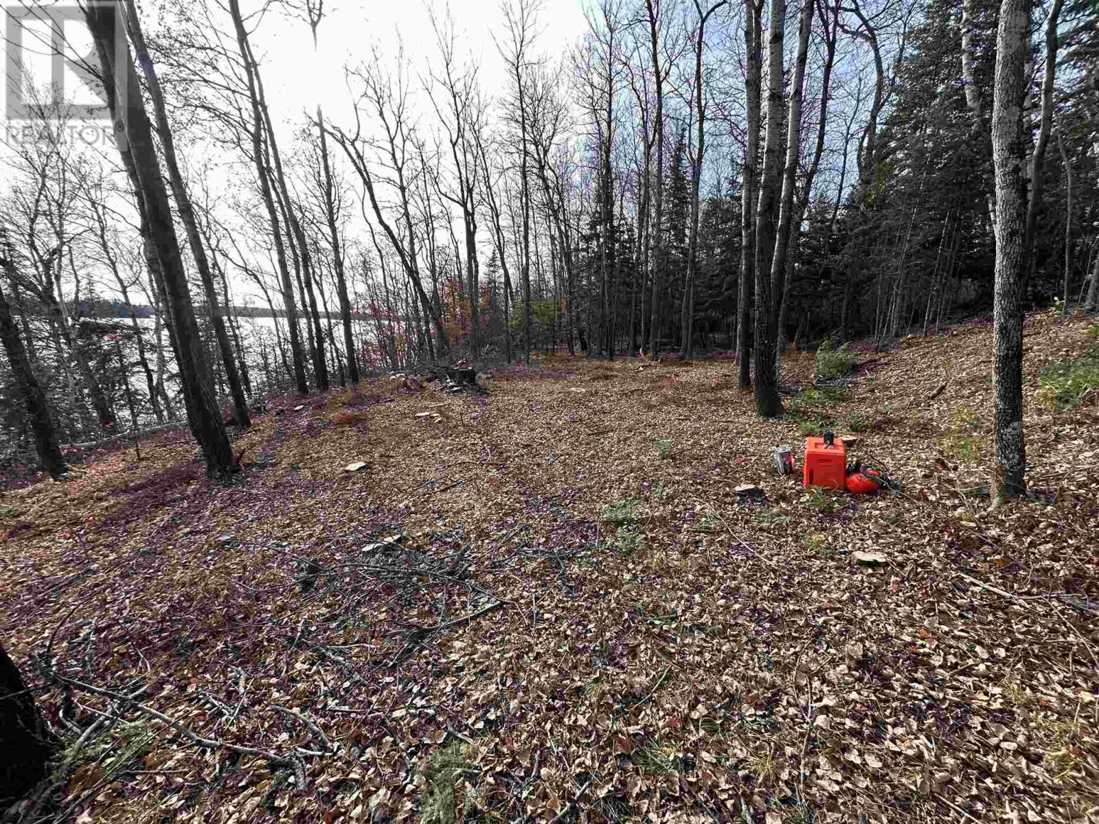Part 3 Ward Island, Kenora, Ontario  P0X 1S0 - Photo 2 - TB250655