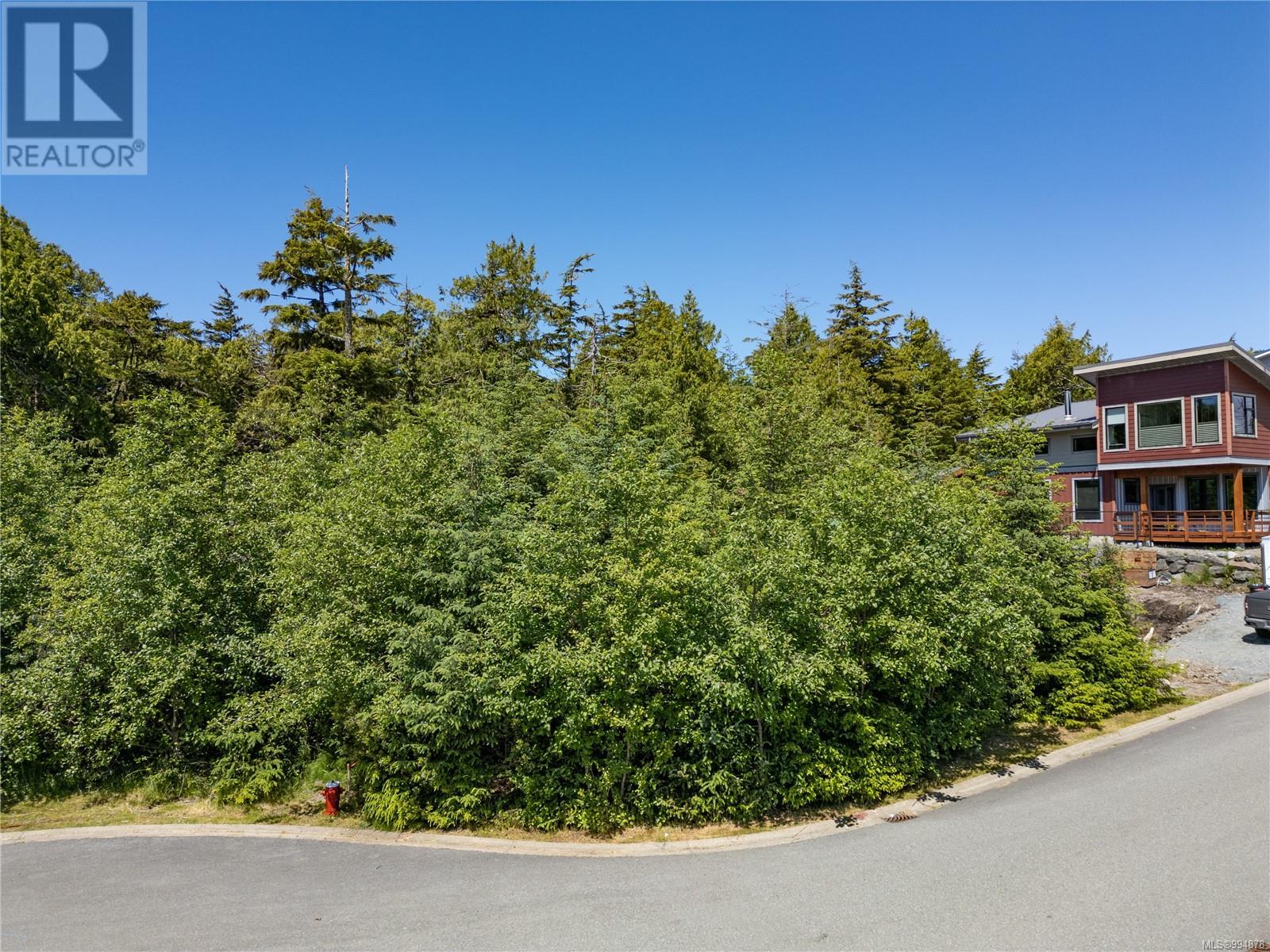342 Pass Of Melfort Pl, Ucluelet, British Columbia  V0R 3A0 - Photo 5 - 994878