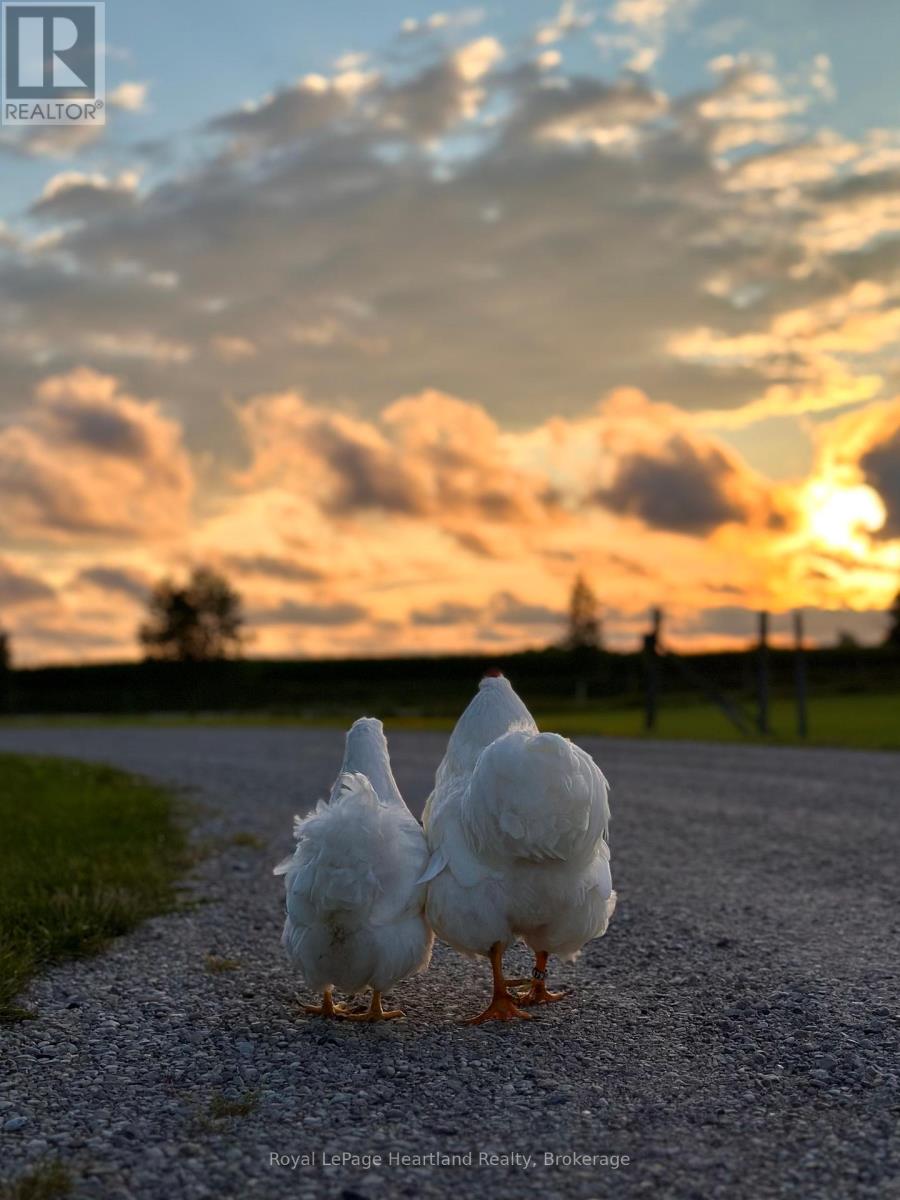 81572 Lucknow Line, Ashfield-Colborne-Wawanosh, Ontario  N7A 3Y1 - Photo 36 - X11962324