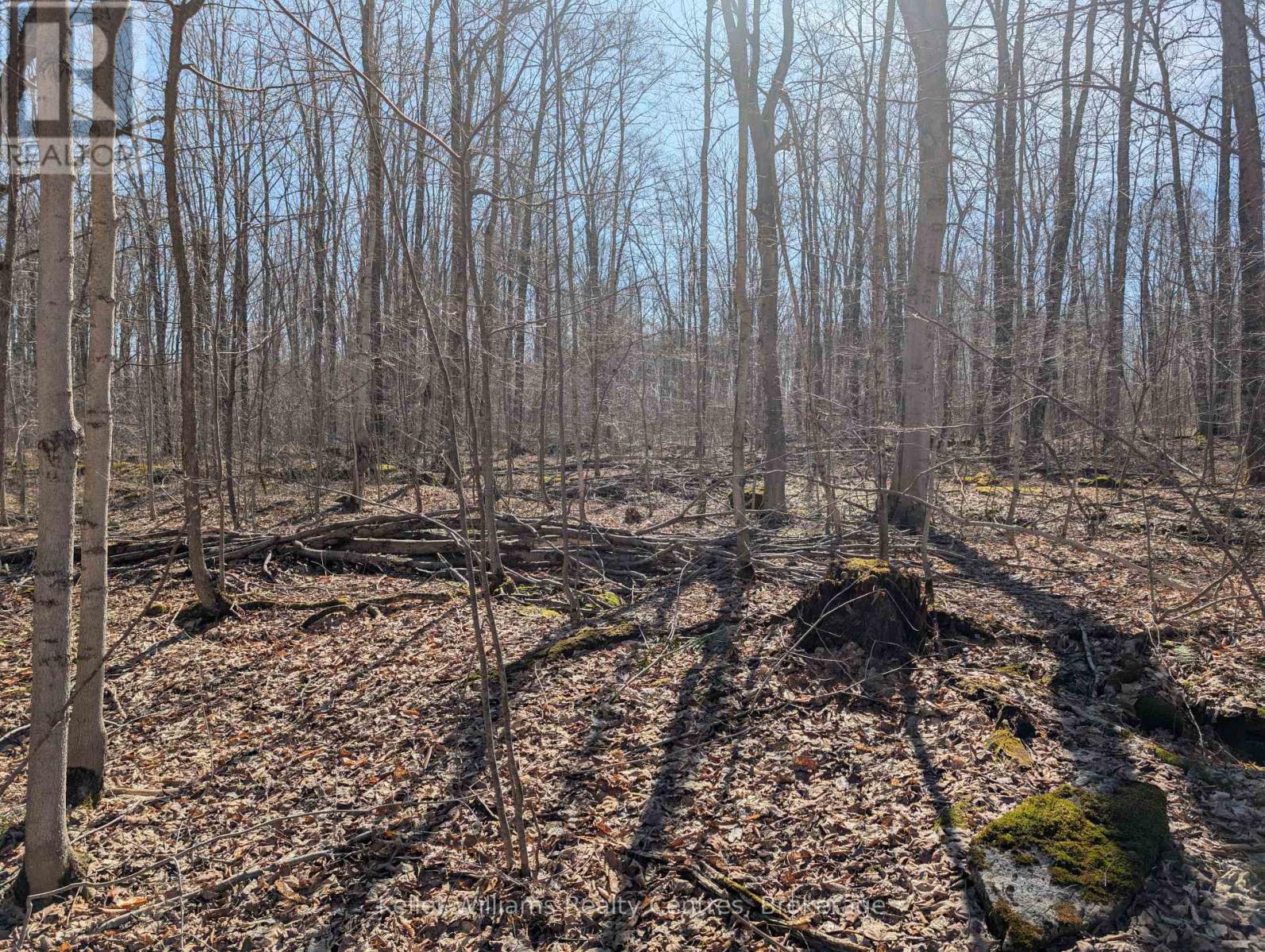 463176 Concession 24 Acres S, Georgian Bluffs, Ontario  N0H 2T0 - Photo 10 - X12094669