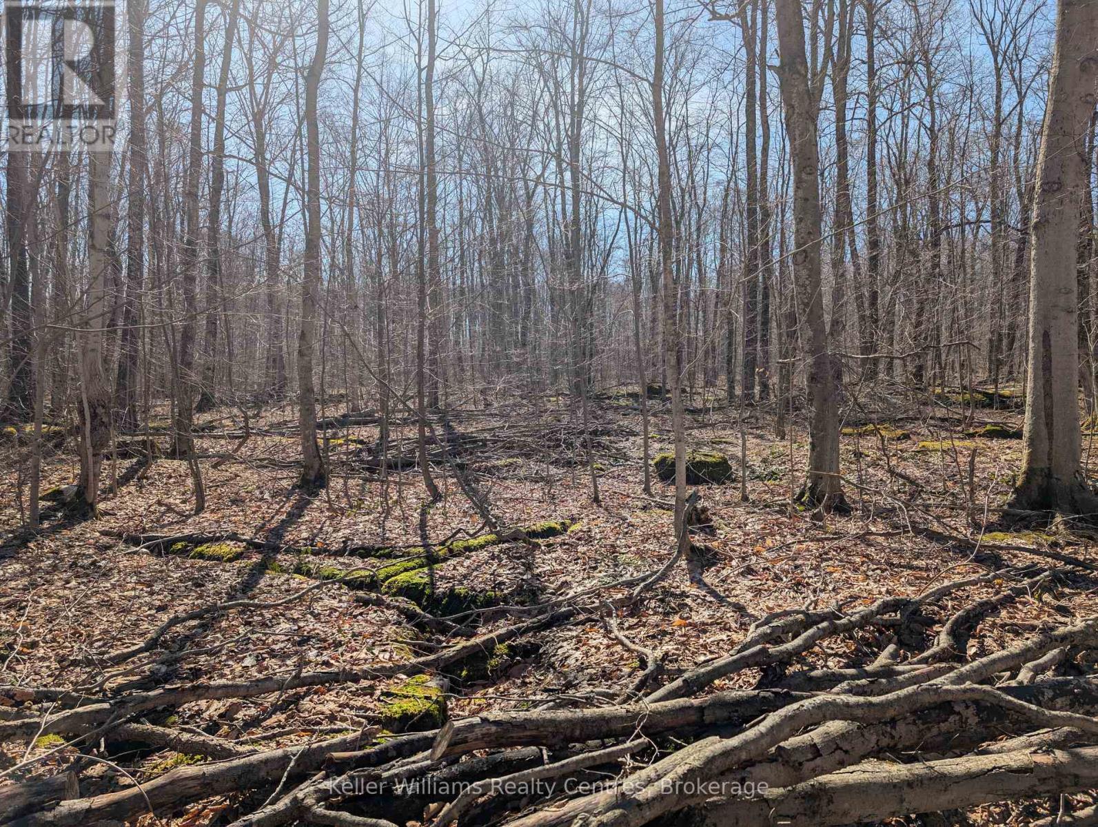 463176 Concession 24 Acres S, Georgian Bluffs, Ontario  N0H 2T0 - Photo 11 - X12094669