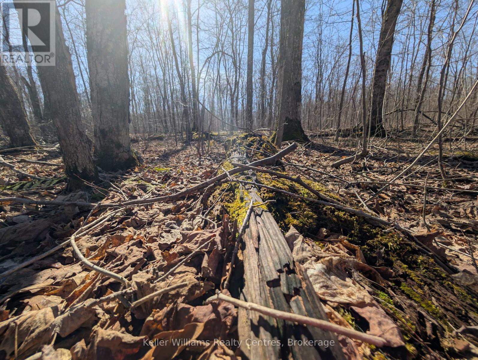 463176 Concession 24 Acres S, Georgian Bluffs, Ontario  N0H 2T0 - Photo 12 - X12094669