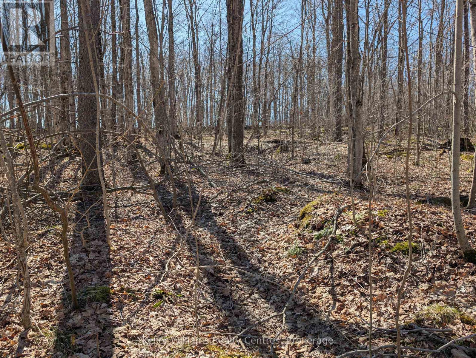 463176 Concession 24 Acres S, Georgian Bluffs, Ontario  N0H 2T0 - Photo 13 - X12094669