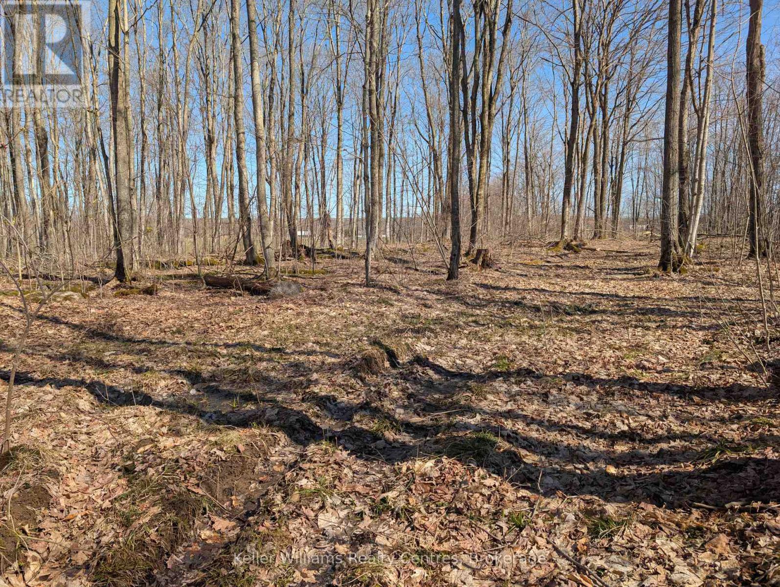 463176 Concession 24 Acres S, Georgian Bluffs, Ontario  N0H 2T0 - Photo 14 - X12094669