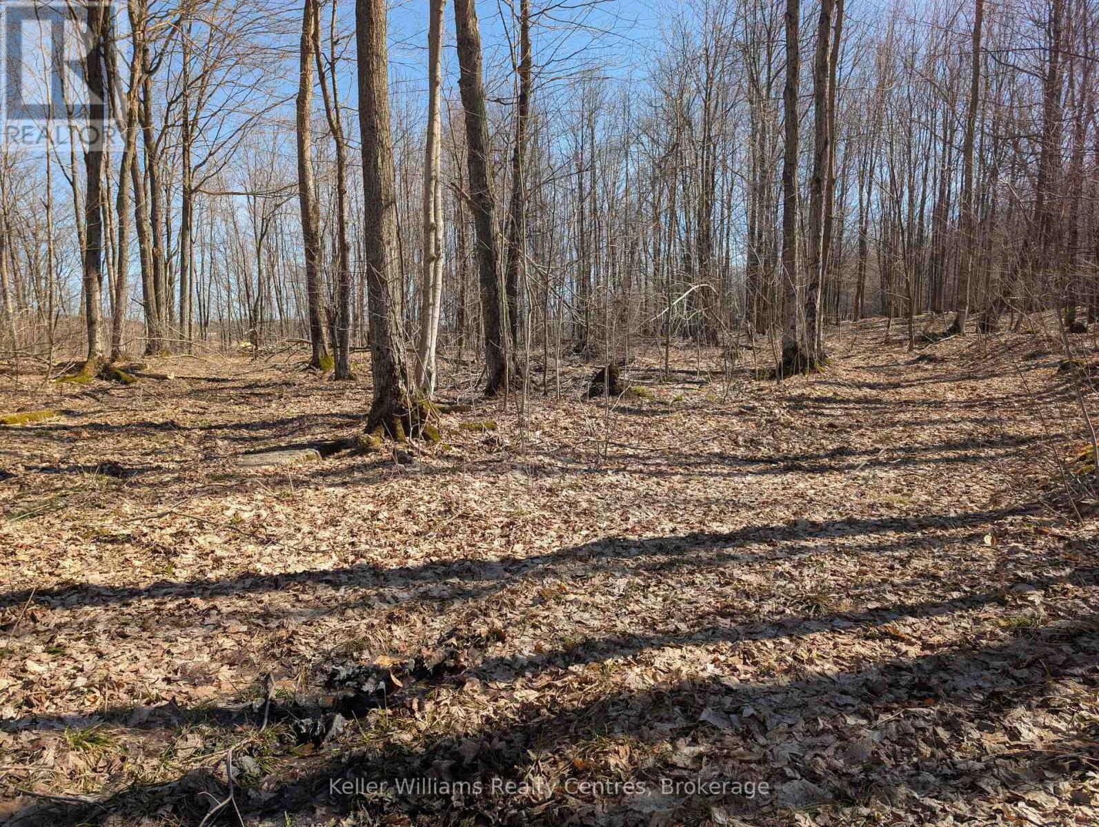 463176 Concession 24 Acres S, Georgian Bluffs, Ontario  N0H 2T0 - Photo 15 - X12094669