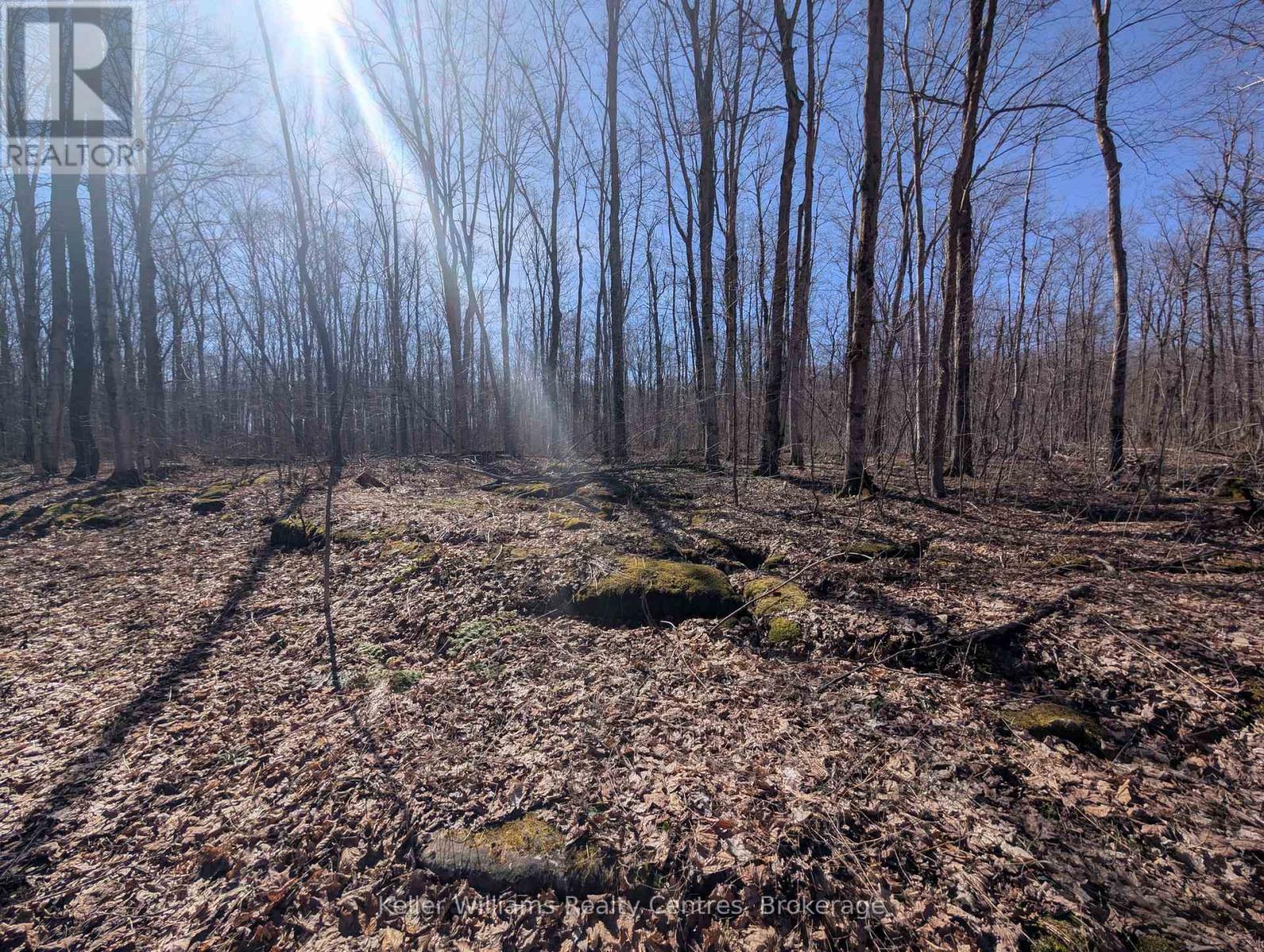 463176 Concession 24 Acres S, Georgian Bluffs, Ontario  N0H 2T0 - Photo 18 - X12094669