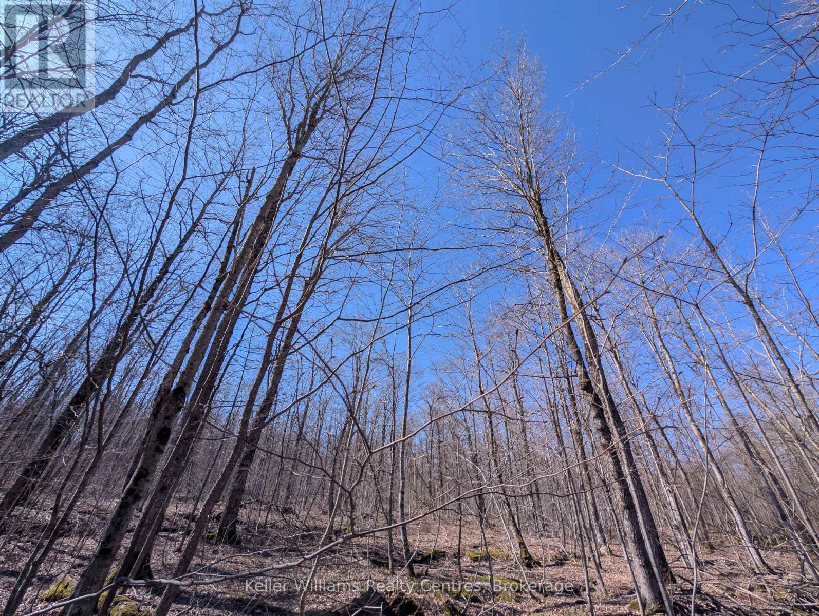 463176 Concession 24 Acres S, Georgian Bluffs, Ontario  N0H 2T0 - Photo 20 - X12094669