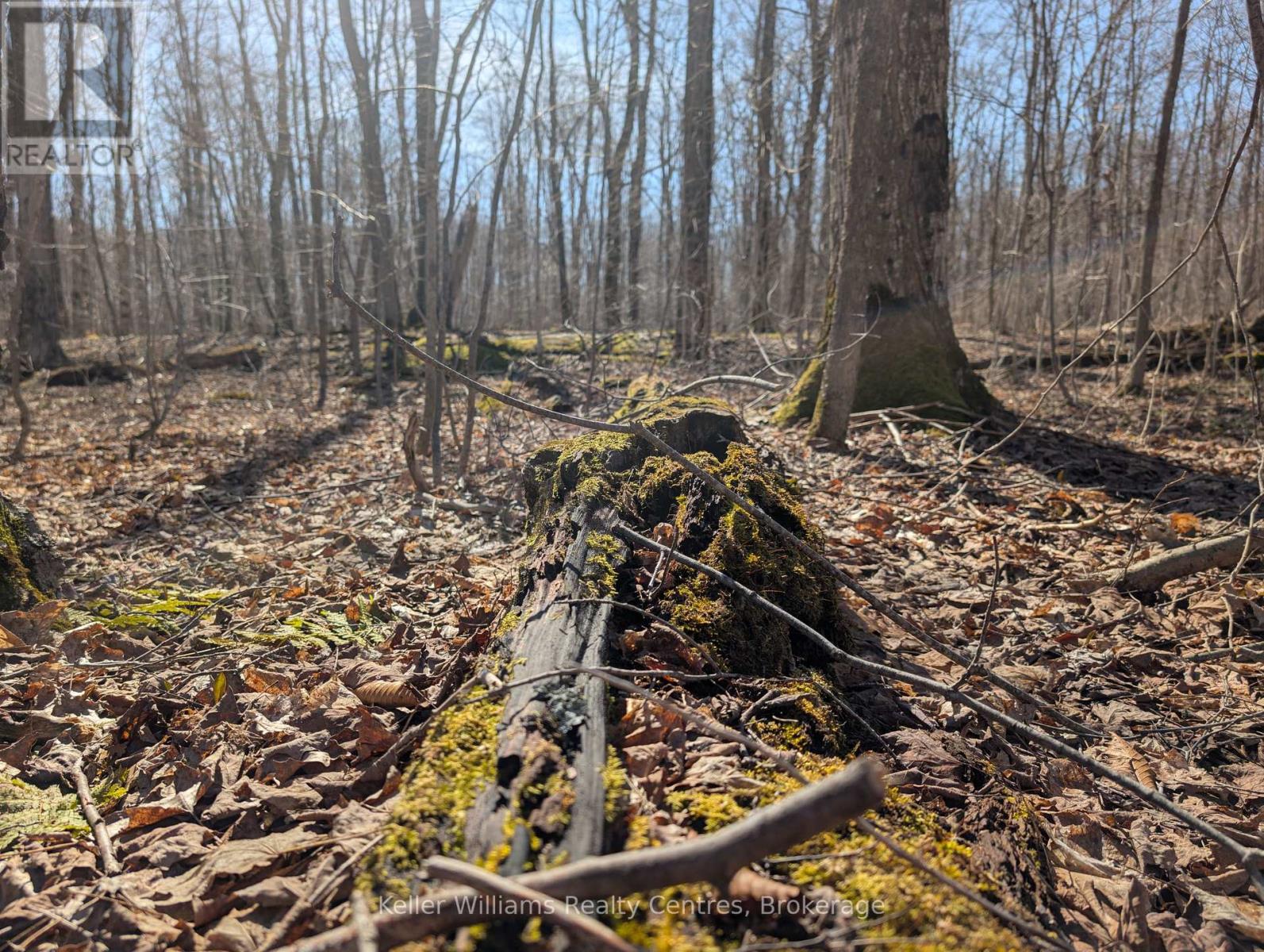 463176 Concession 24 Acres S, Georgian Bluffs, Ontario  N0H 2T0 - Photo 21 - X12094669