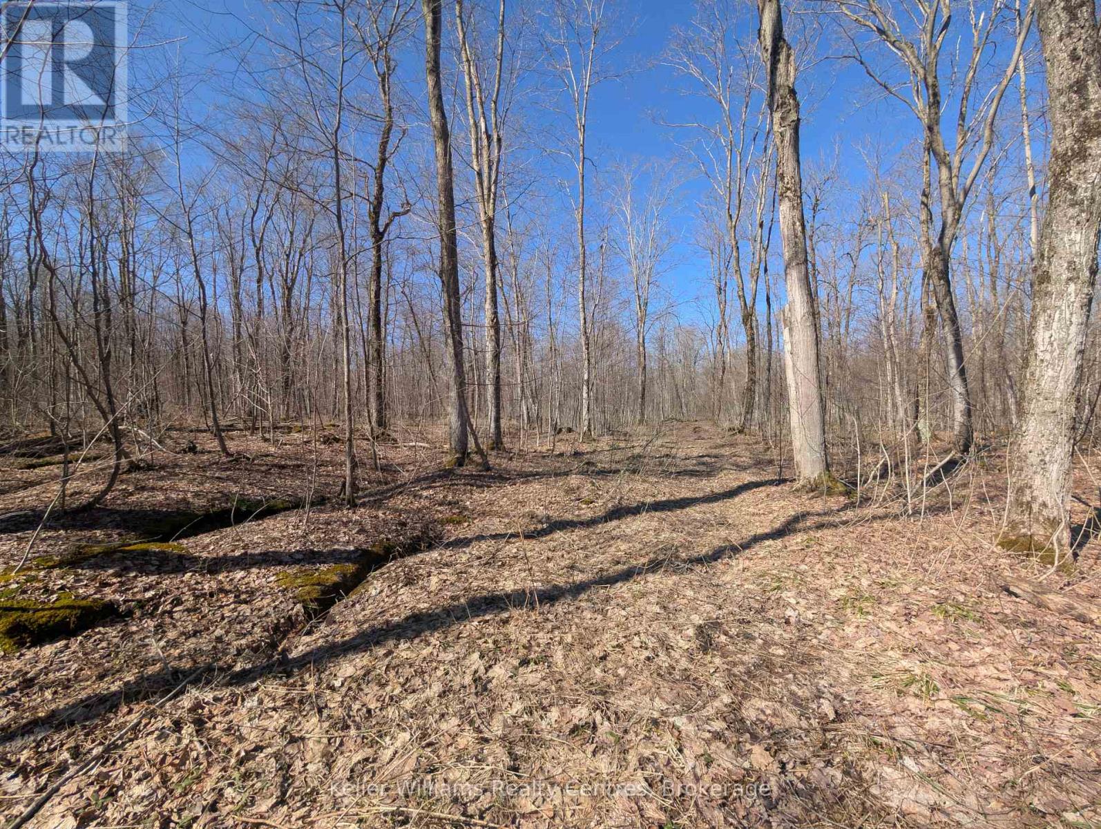 463176 Concession 24 Acres S, Georgian Bluffs, Ontario  N0H 2T0 - Photo 22 - X12094669