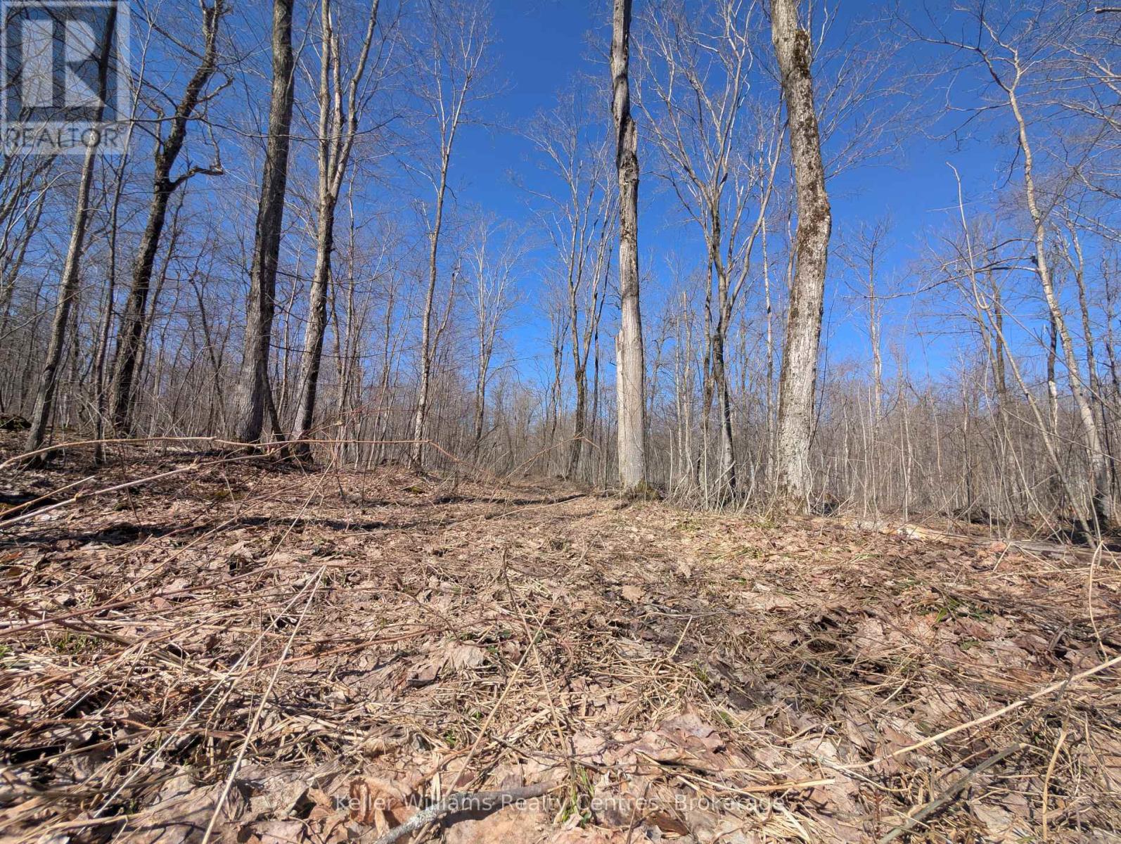 463176 Concession 24 Acres S, Georgian Bluffs, Ontario  N0H 2T0 - Photo 23 - X12094669