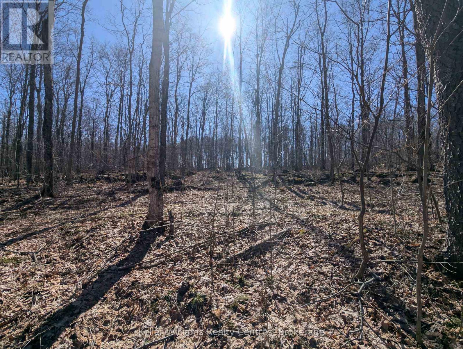 463176 Concession 24 Acres S, Georgian Bluffs, Ontario  N0H 2T0 - Photo 24 - X12094669