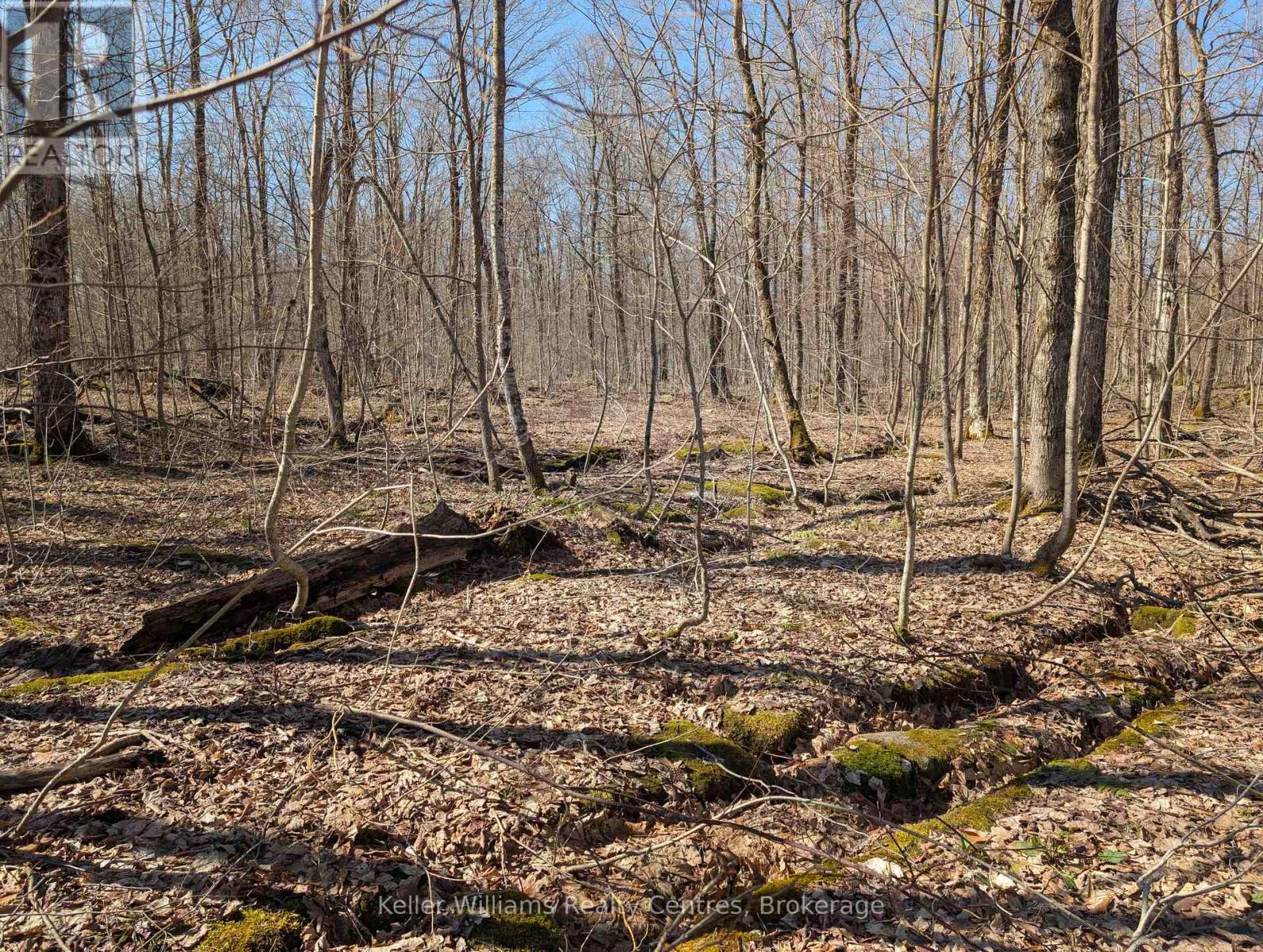 463176 Concession 24 Acres S, Georgian Bluffs, Ontario  N0H 2T0 - Photo 27 - X12094669