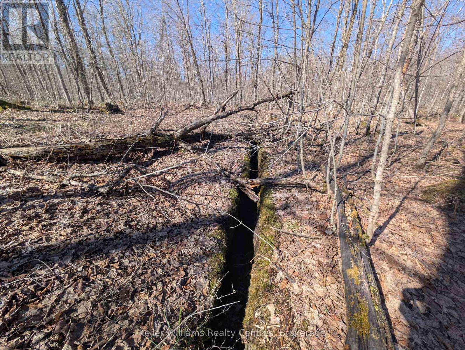 463176 Concession 24 Acres S, Georgian Bluffs, Ontario  N0H 2T0 - Photo 28 - X12094669