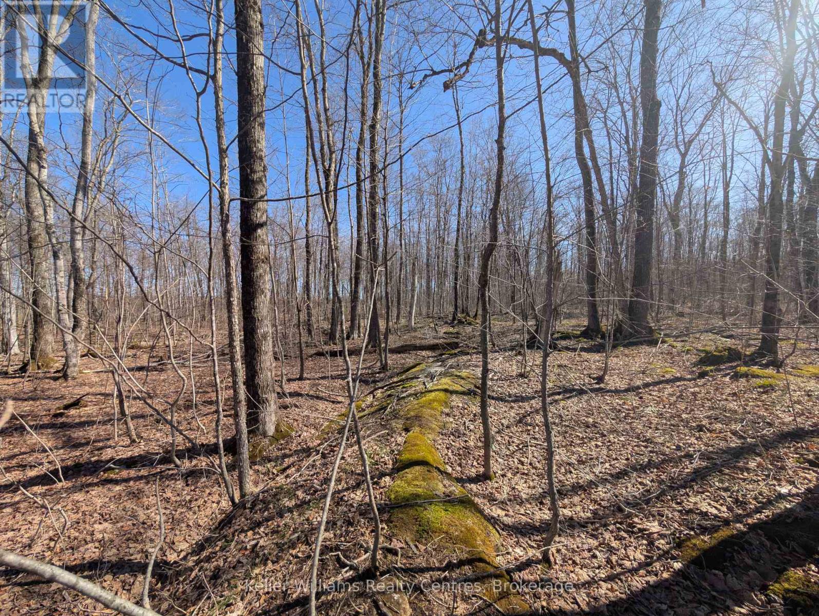 463176 Concession 24 Acres S, Georgian Bluffs, Ontario  N0H 2T0 - Photo 29 - X12094669