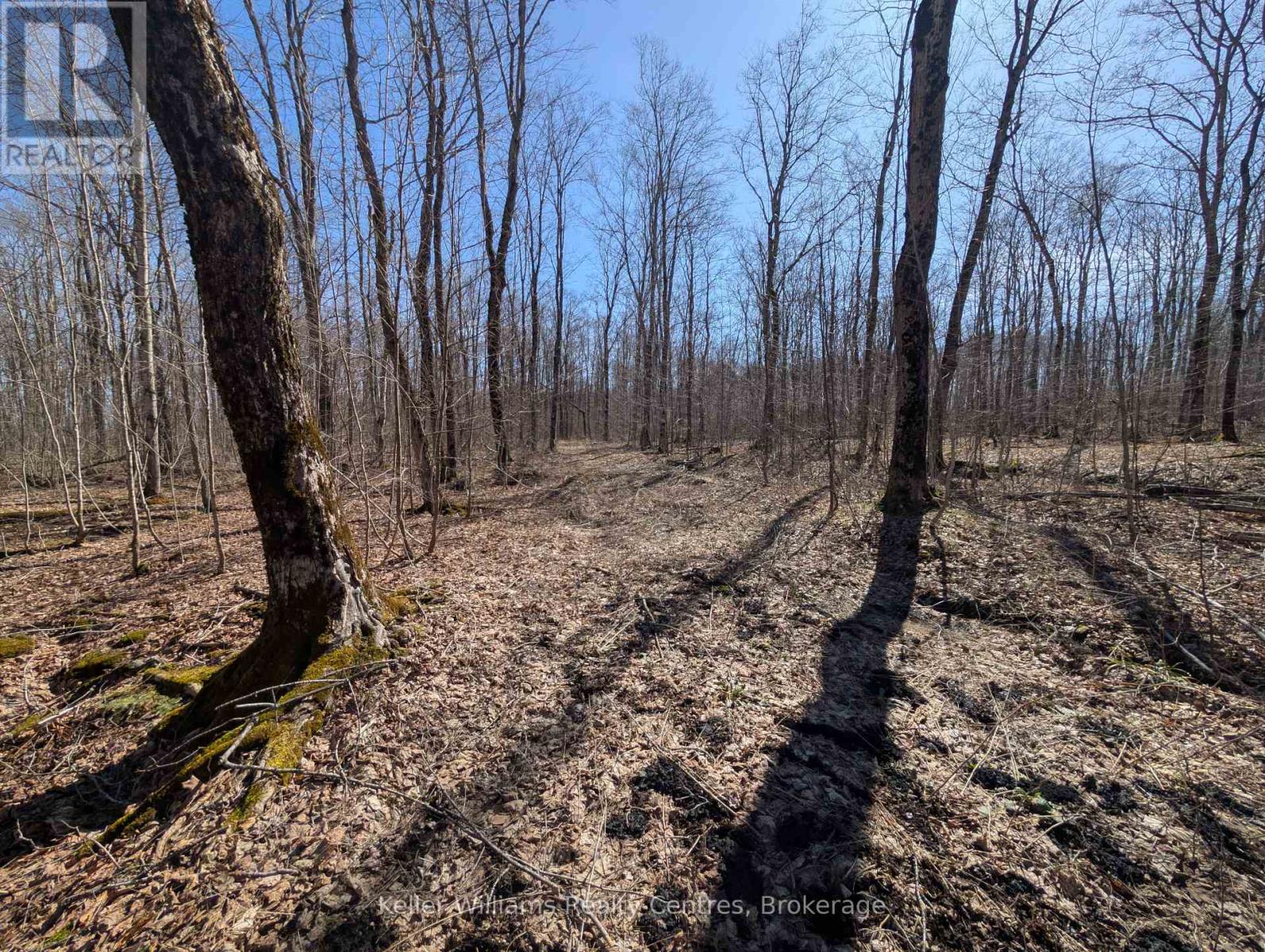 463176 Concession 24 Acres S, Georgian Bluffs, Ontario  N0H 2T0 - Photo 31 - X12094669