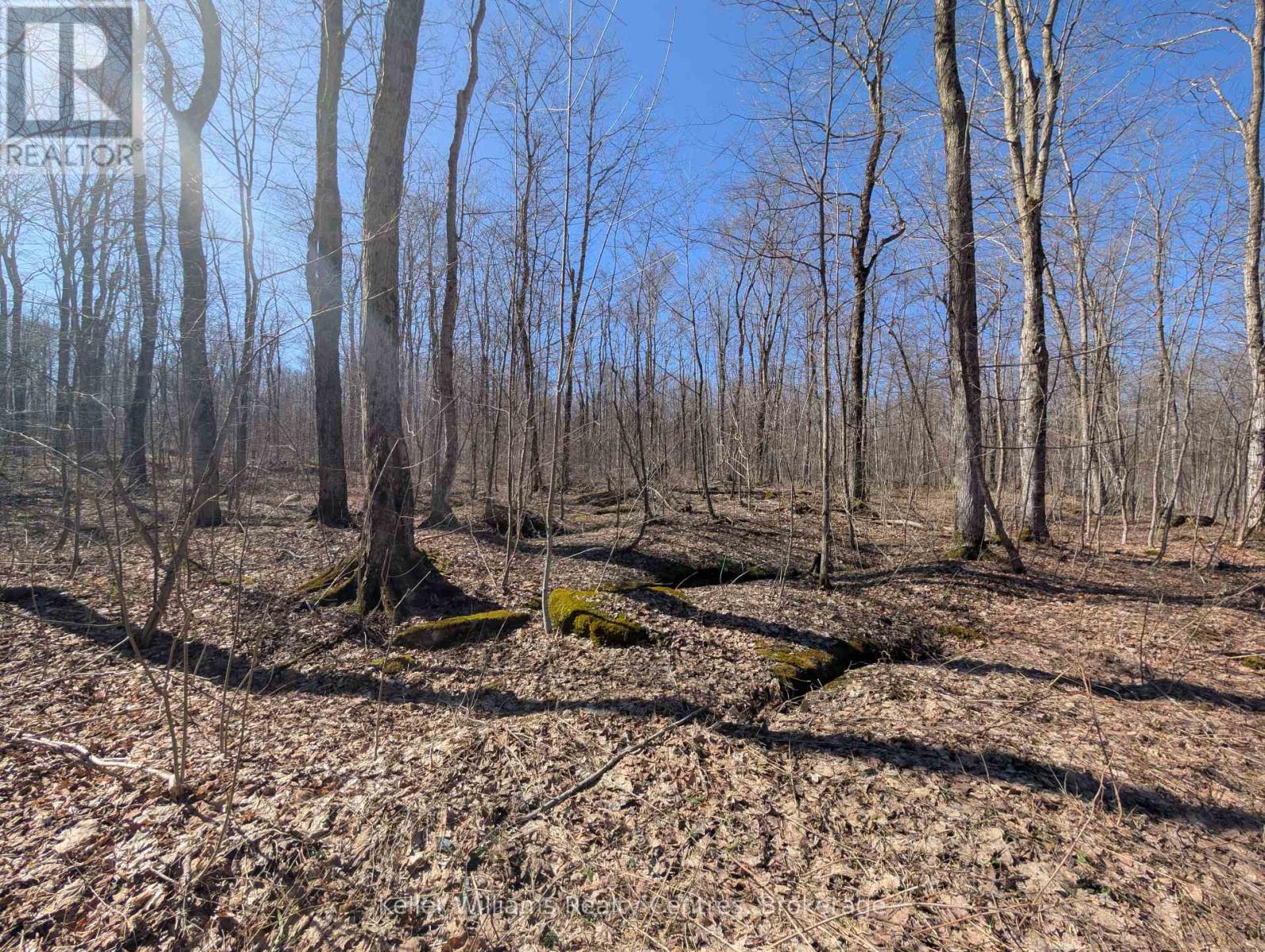 463176 Concession 24 Acres S, Georgian Bluffs, Ontario  N0H 2T0 - Photo 32 - X12094669