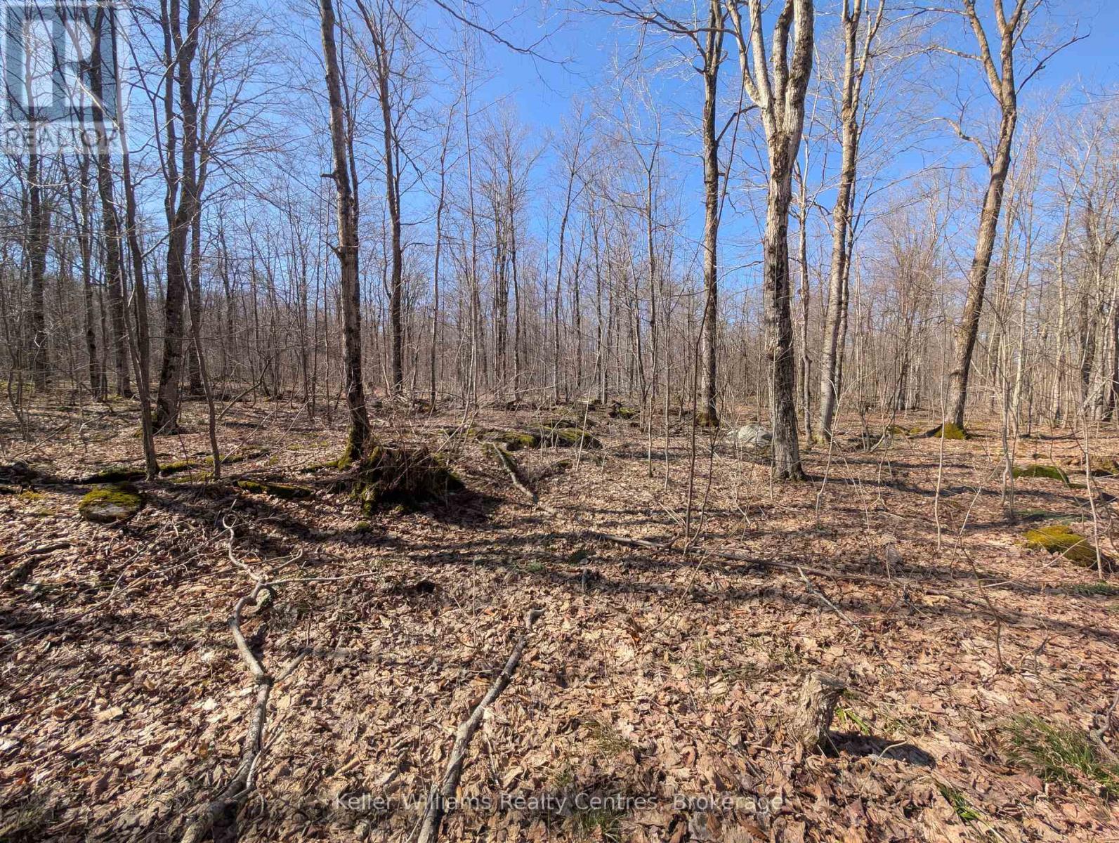 463176 Concession 24 Acres S, Georgian Bluffs, Ontario  N0H 2T0 - Photo 33 - X12094669