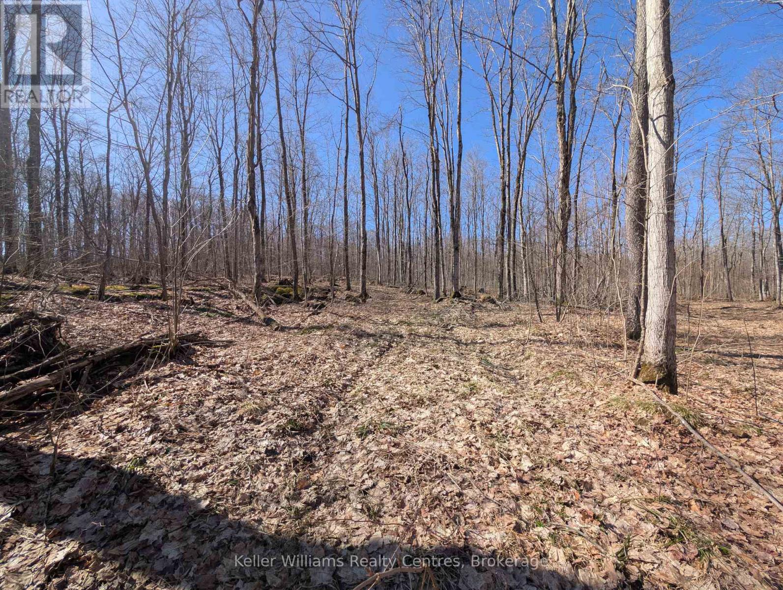 463176 Concession 24 Acres S, Georgian Bluffs, Ontario  N0H 2T0 - Photo 6 - X12094669