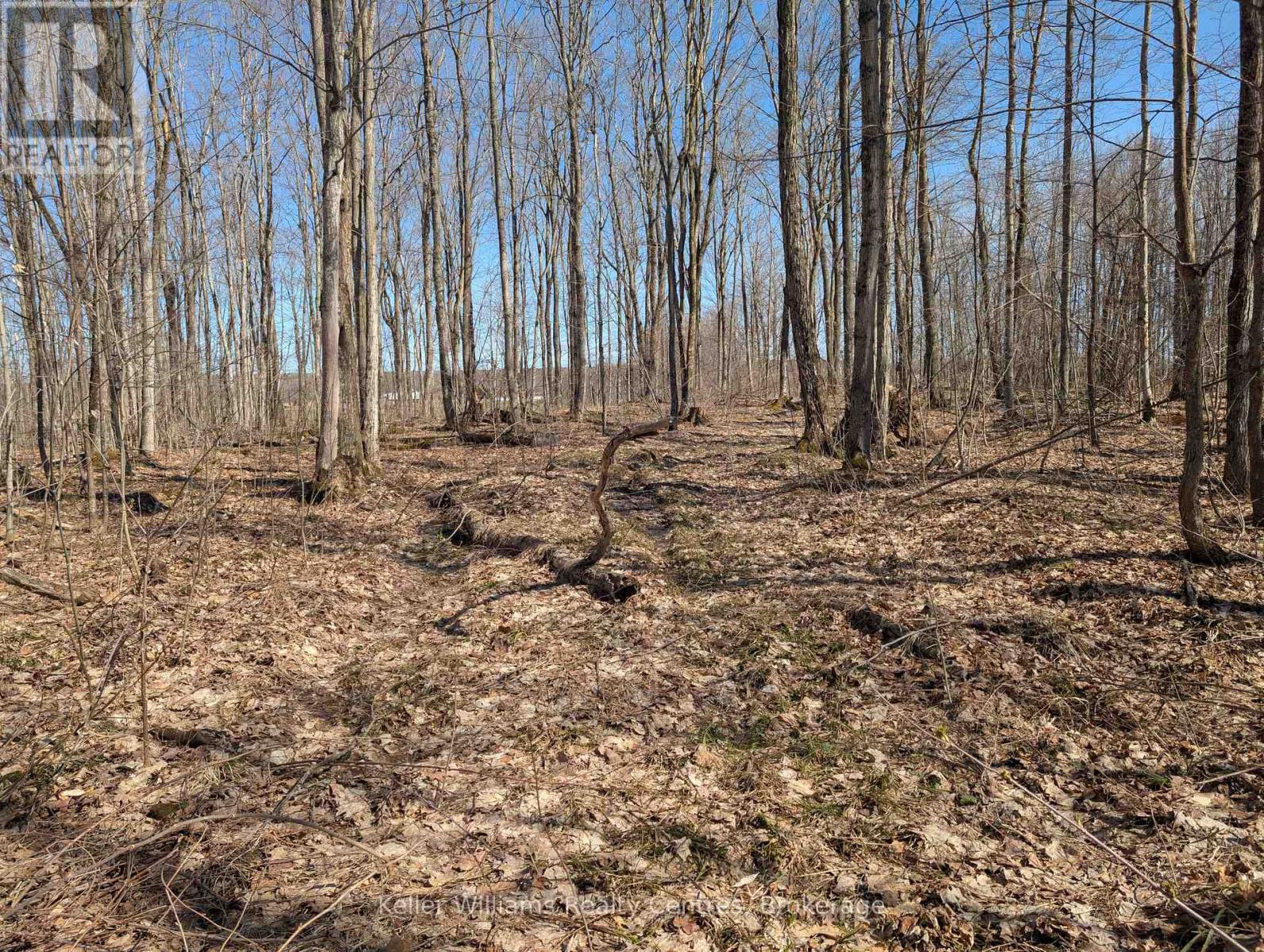 463176 Concession 24 Acres S, Georgian Bluffs, Ontario  N0H 2T0 - Photo 7 - X12094669