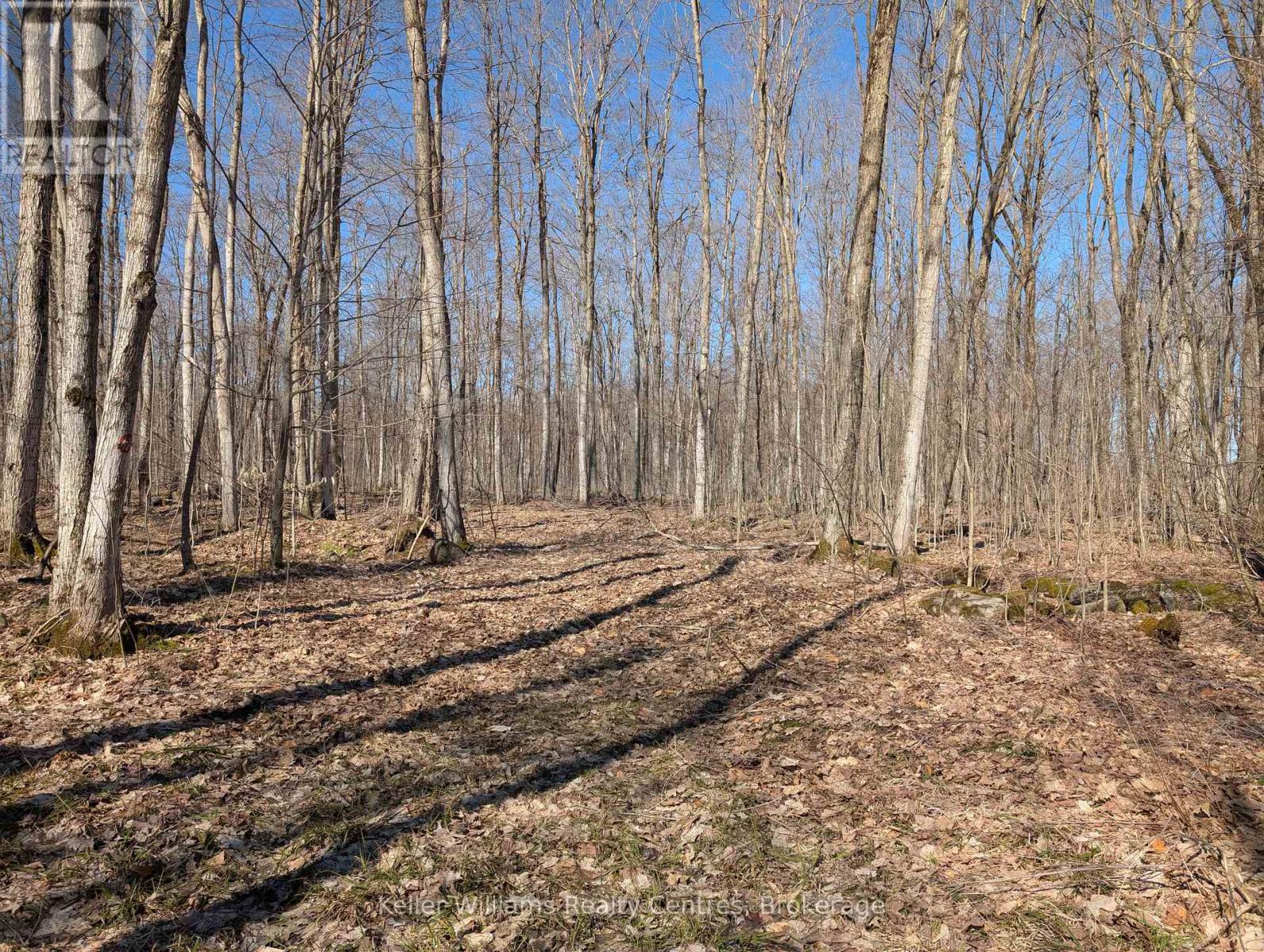 463176 Concession 24 Acres S, Georgian Bluffs, Ontario  N0H 2T0 - Photo 8 - X12094669