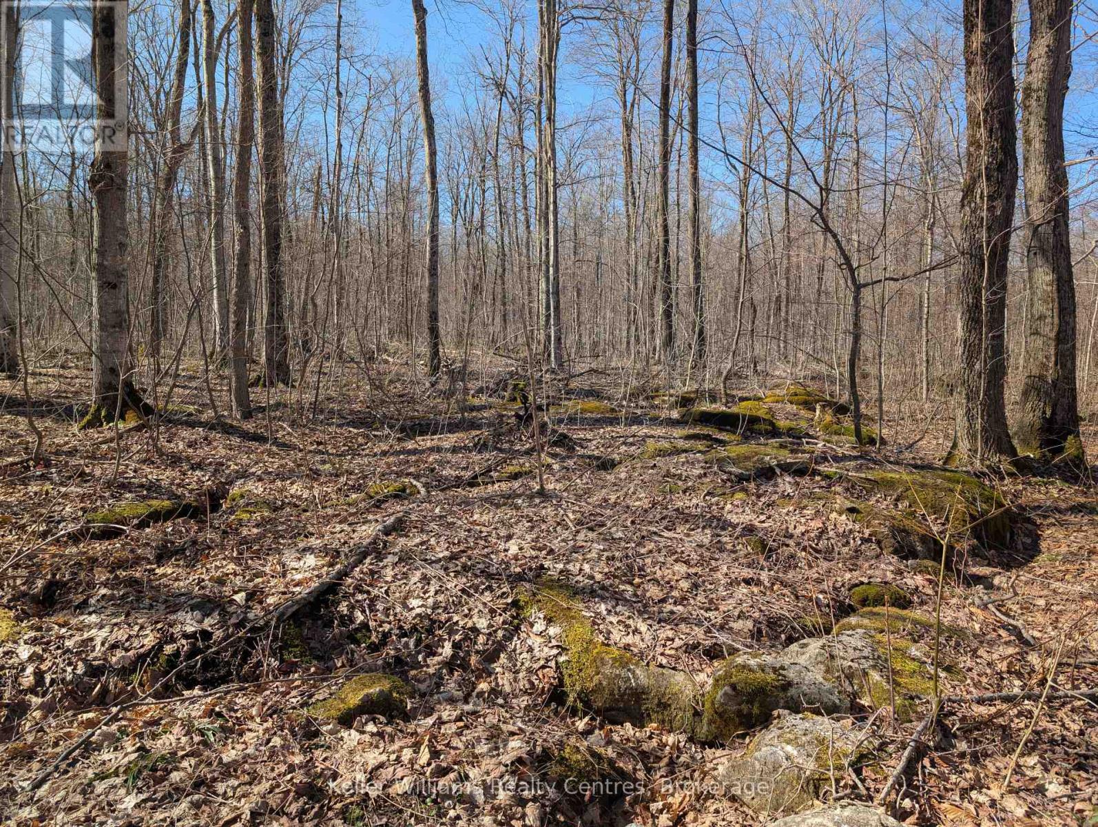 463176 Concession 24 Acres S, Georgian Bluffs, Ontario  N0H 2T0 - Photo 9 - X12094669