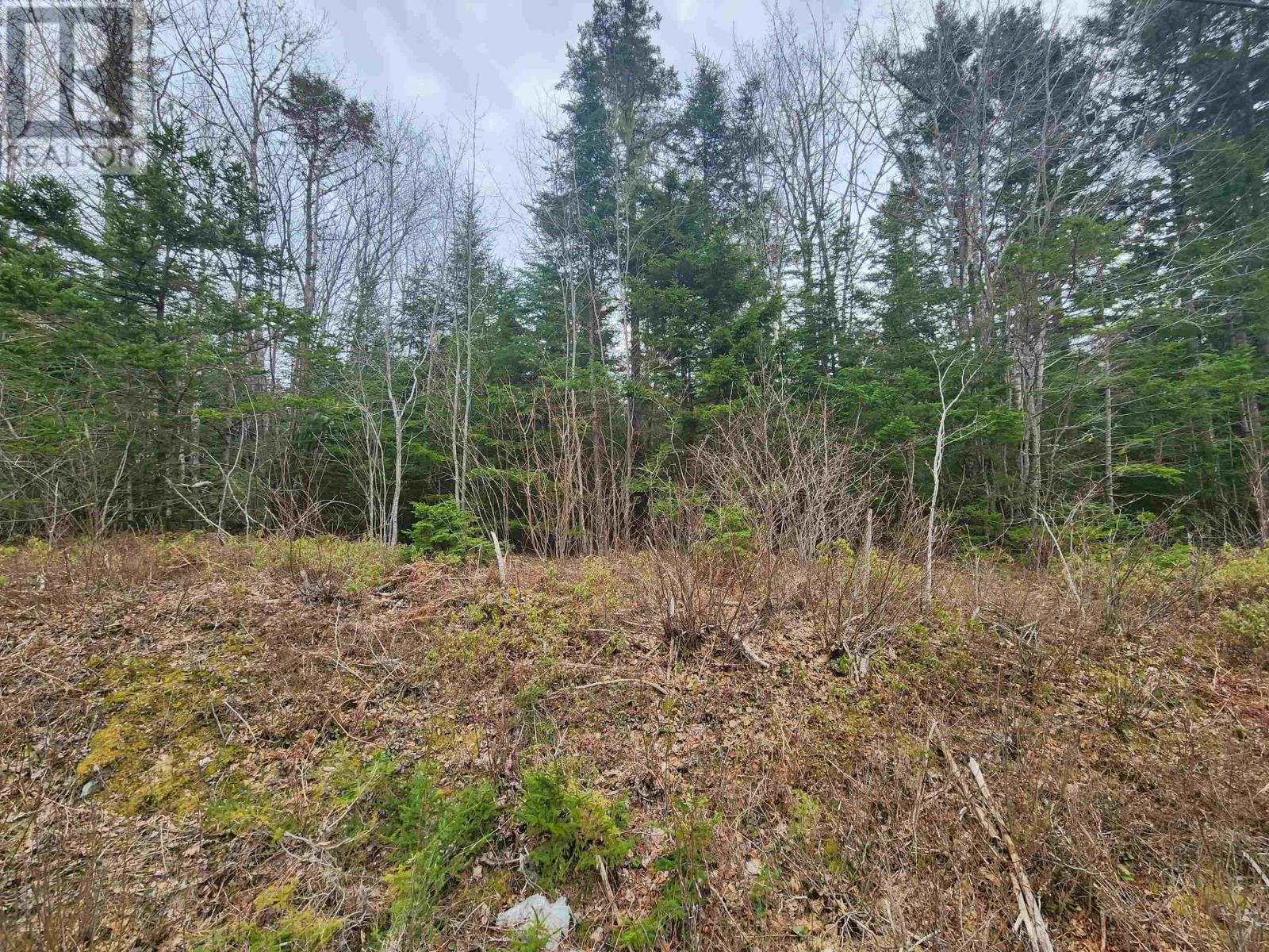 Lot Highway 340, Pleasant Valley, Nova Scotia  B5A 5P1 - Photo 4 - 202508386