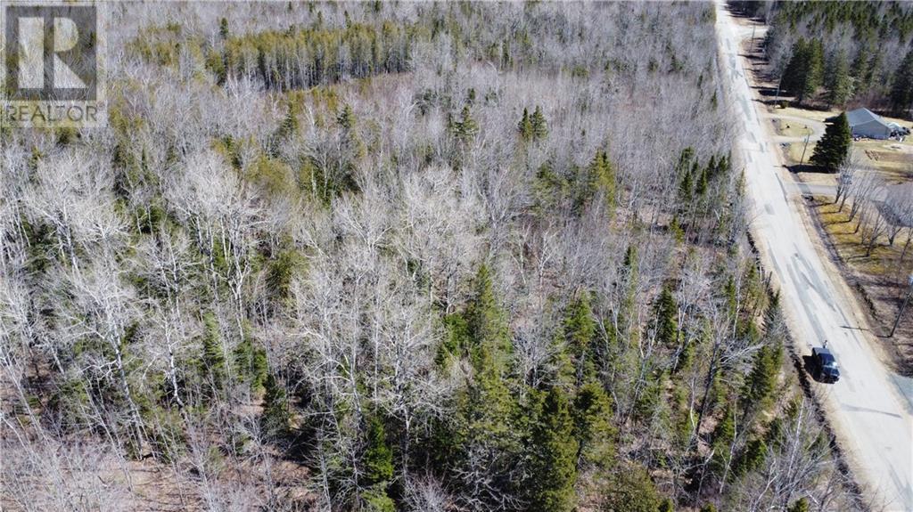 Lot Saint-Pierre Road, Rogersville, New Brunswick  E4Y 1L3 - Photo 6 - M157348