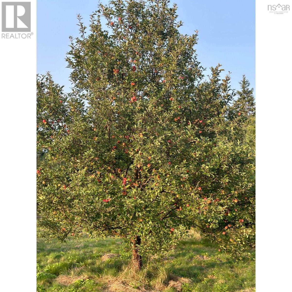 6858 Highway 105, River Denys, Nova Scotia  B0E 2Y0 - Photo 49 - 202506978