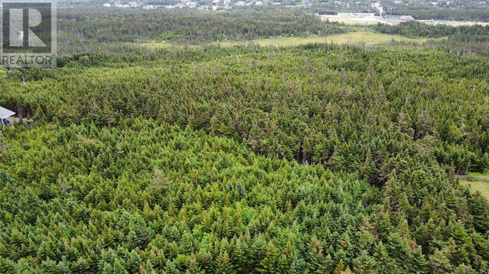 198 Bauline Line Extension, Portugal Cove - St Philips, Newfoundland & Labrador  A1M 2V5 - Photo 4 - 1283992