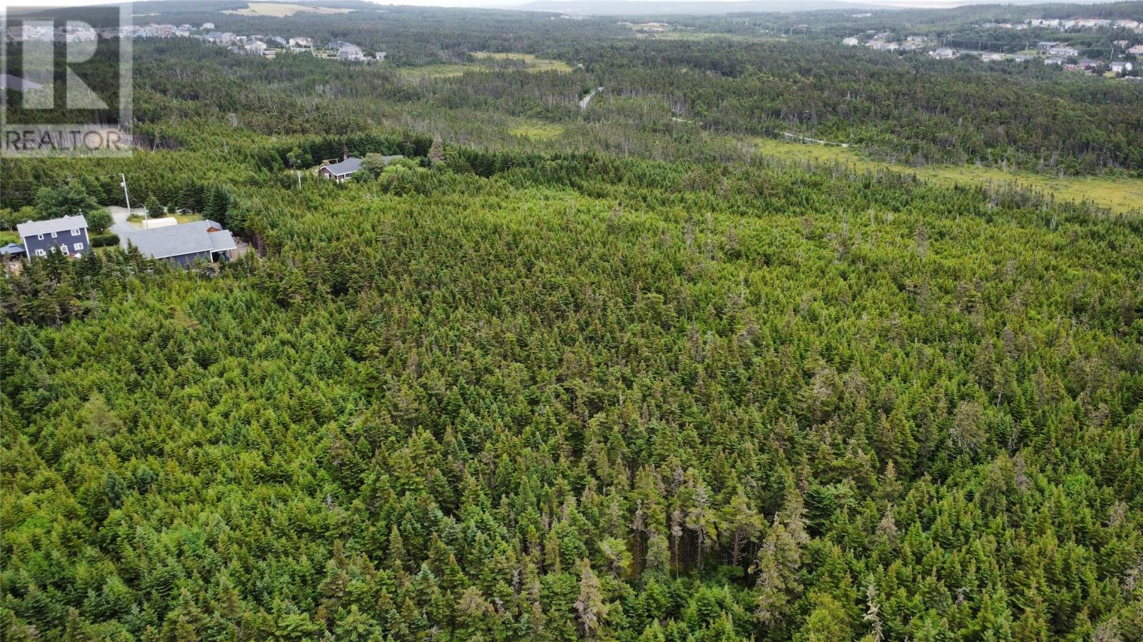 198 Bauline Line Extension, Portugal Cove - St Philips, Newfoundland & Labrador  A1M 2V5 - Photo 5 - 1283992