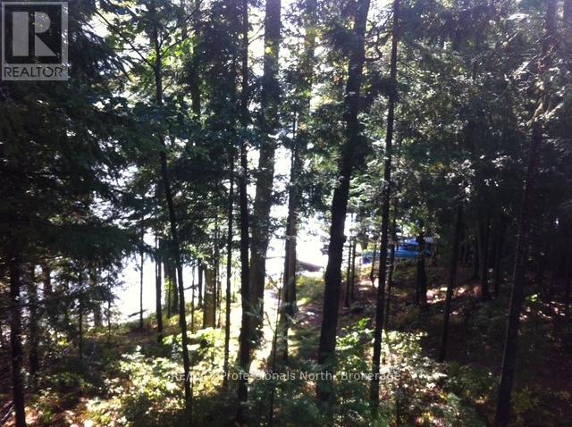 6547 Kennisis Lake Road, Dysart Et Al, Ontario  K0M 1S0 - Photo 34 - X12094804