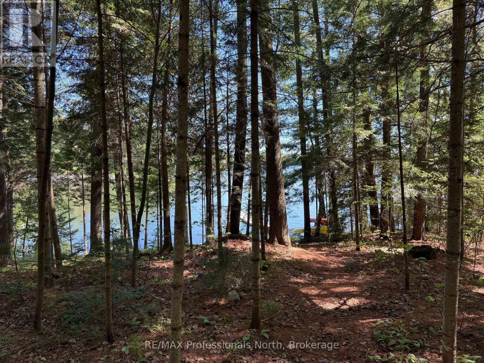 6547 Kennisis Lake Road, Dysart Et Al, Ontario  K0M 1S0 - Photo 38 - X12094804