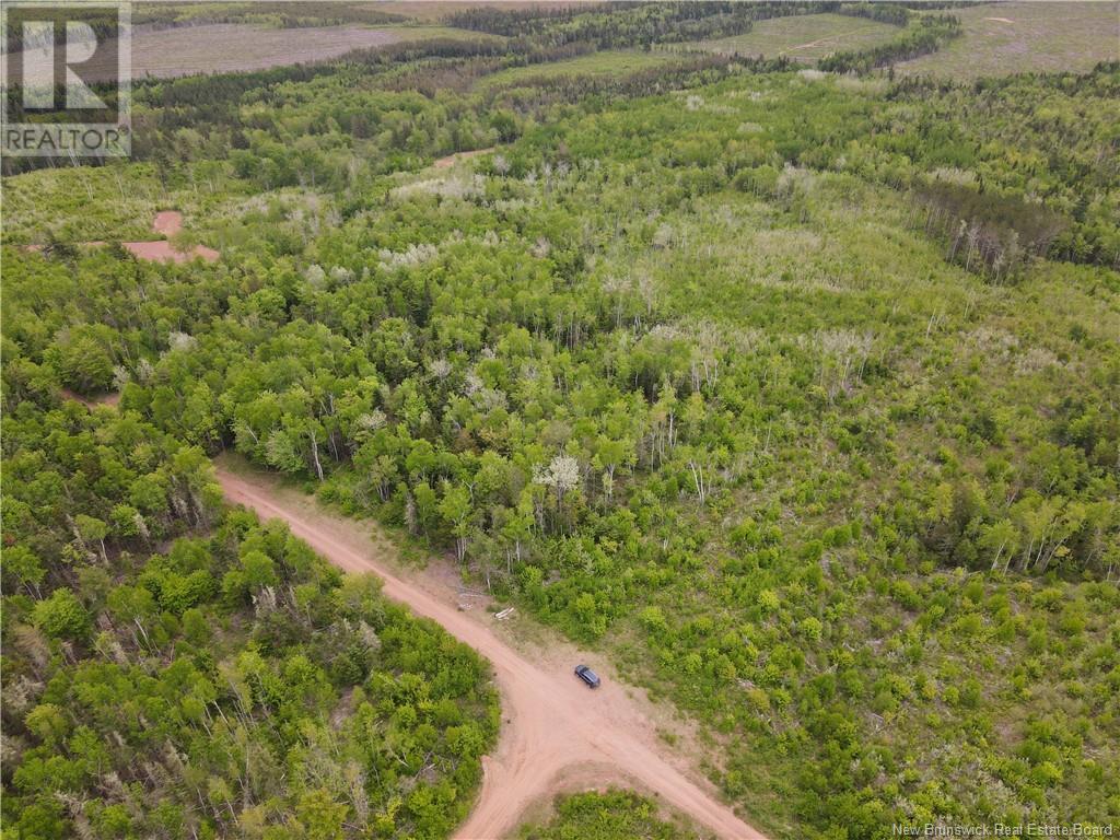 Lot Cemetery Road, Whites Mountain, New Brunswick  E4G 2M4 - Photo 11 - NB101010