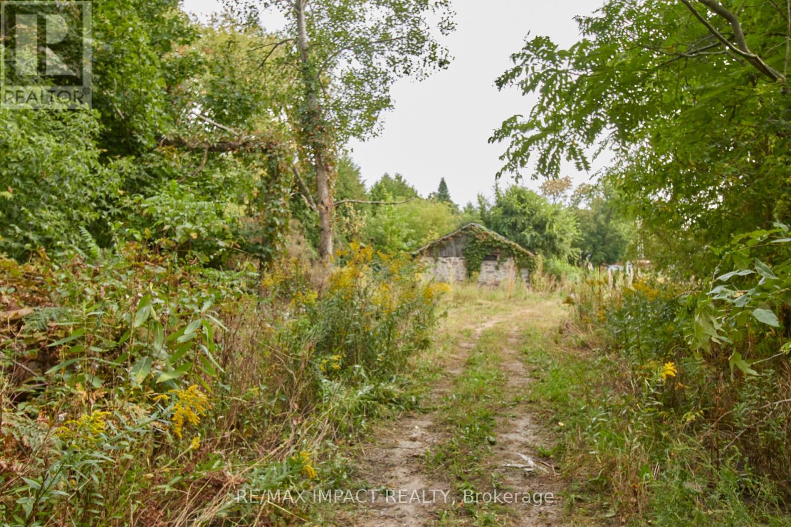 10249 Old Scugog Road, Clarington, Ontario  L0B 1B0 - Photo 22 - E12095087